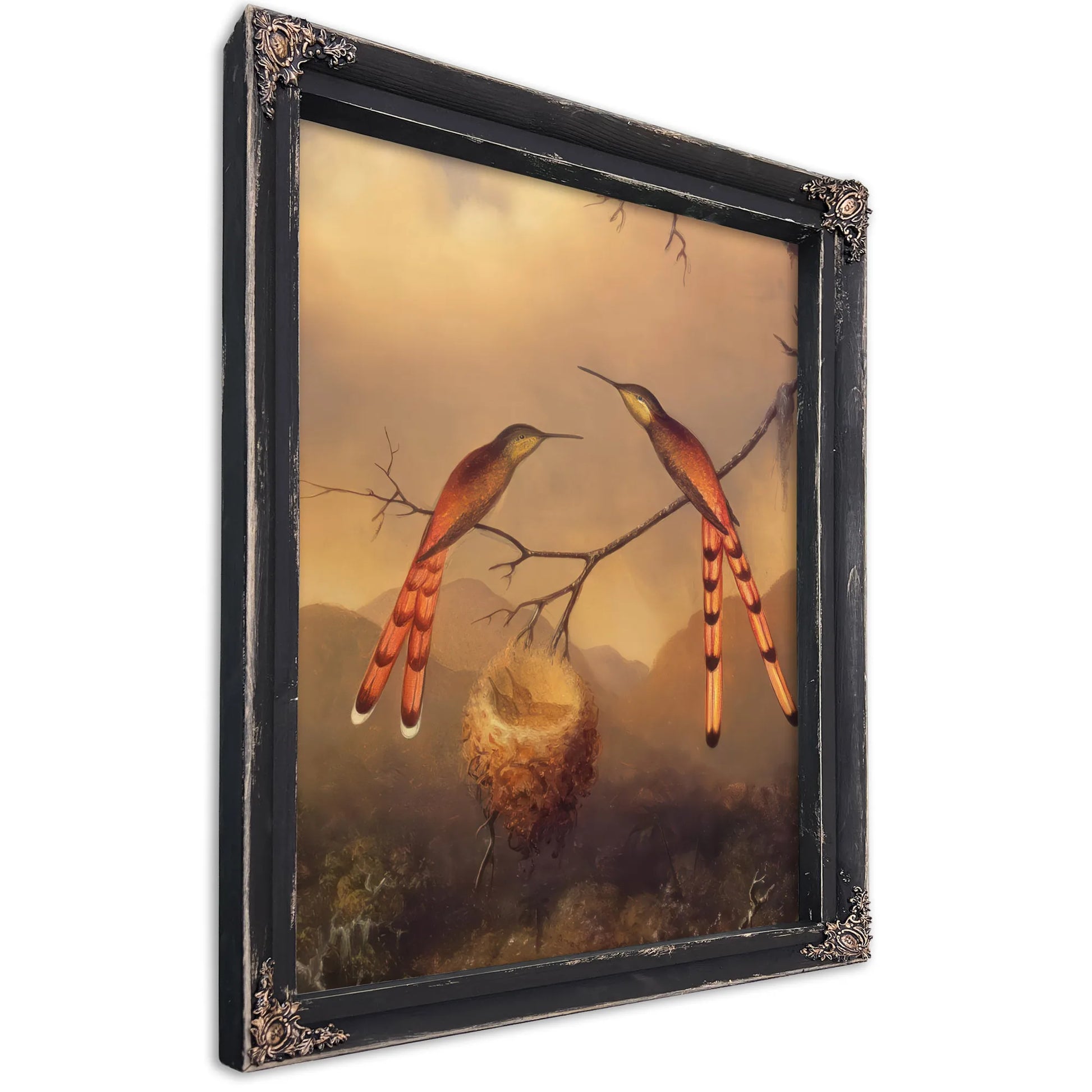 Two Hummingbirds With Their Young By Martin Johnson Heade Fine Art Print
