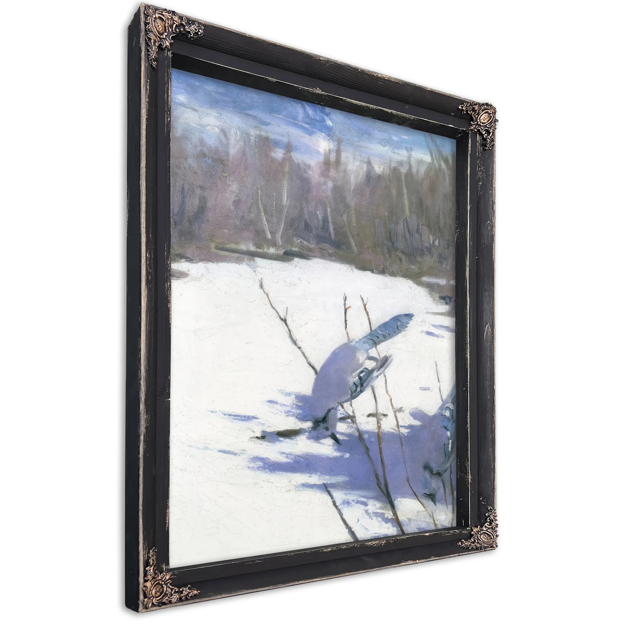 Blue Jays In Winter, Study For Book Concealing Coloration In The Animal Kingdom By Abbott Handerson Thayer Fine Art Print