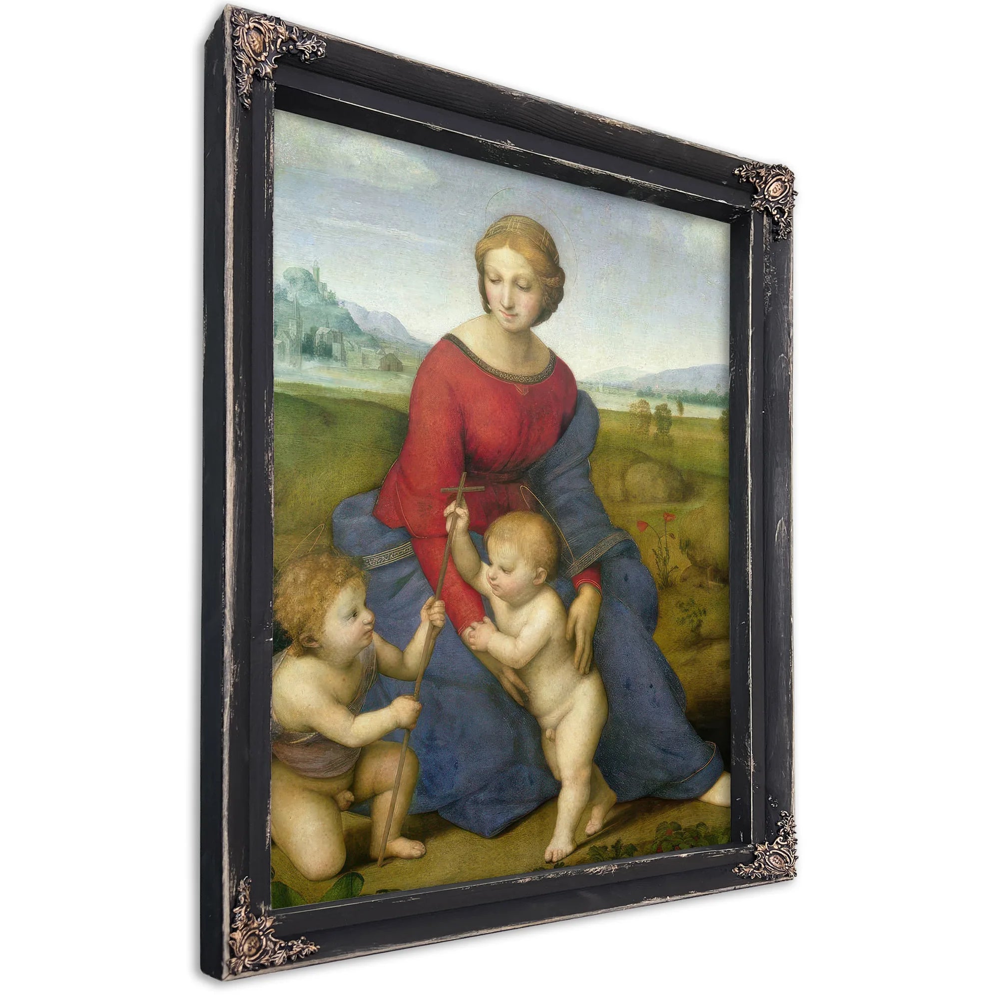 Madonna In The Meadow by Raphael Fine Art Print