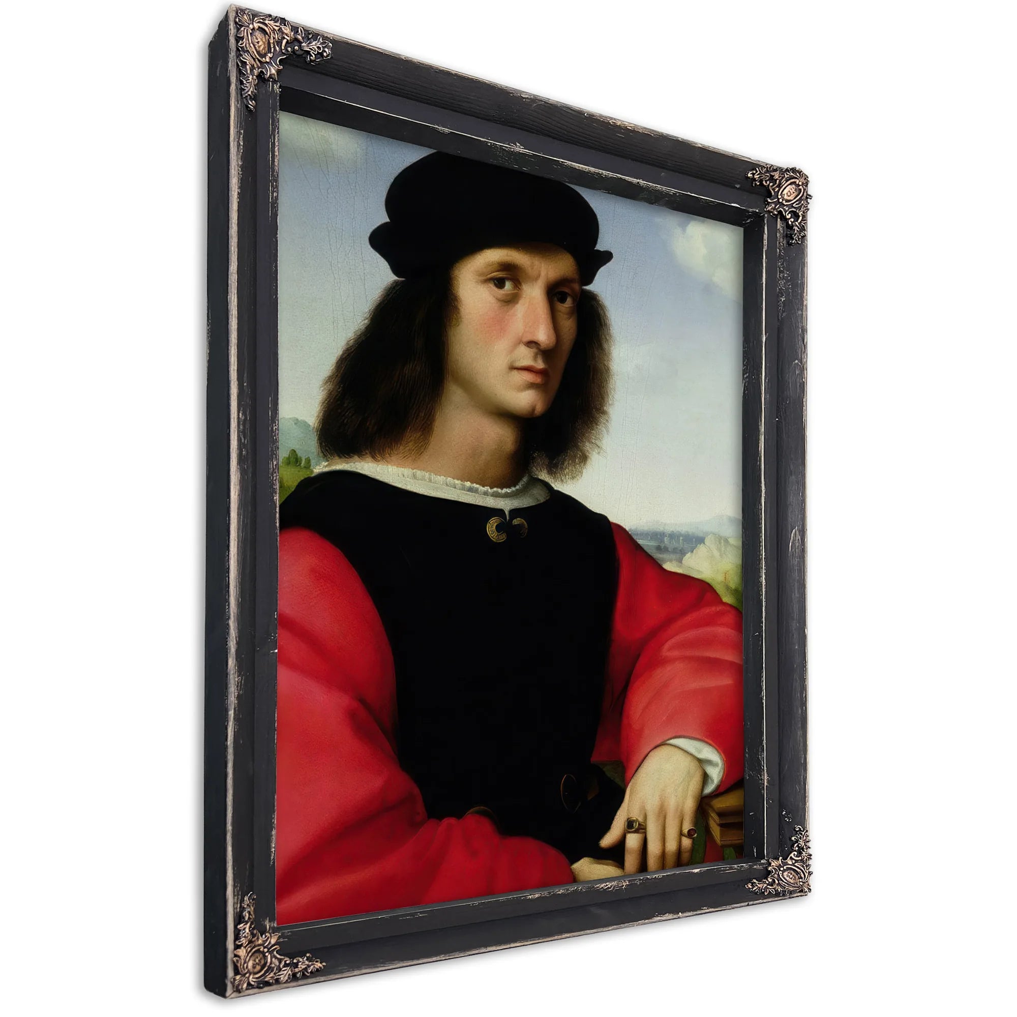 Portrait Of Agnolo Doni By Raphael Fine Art Print