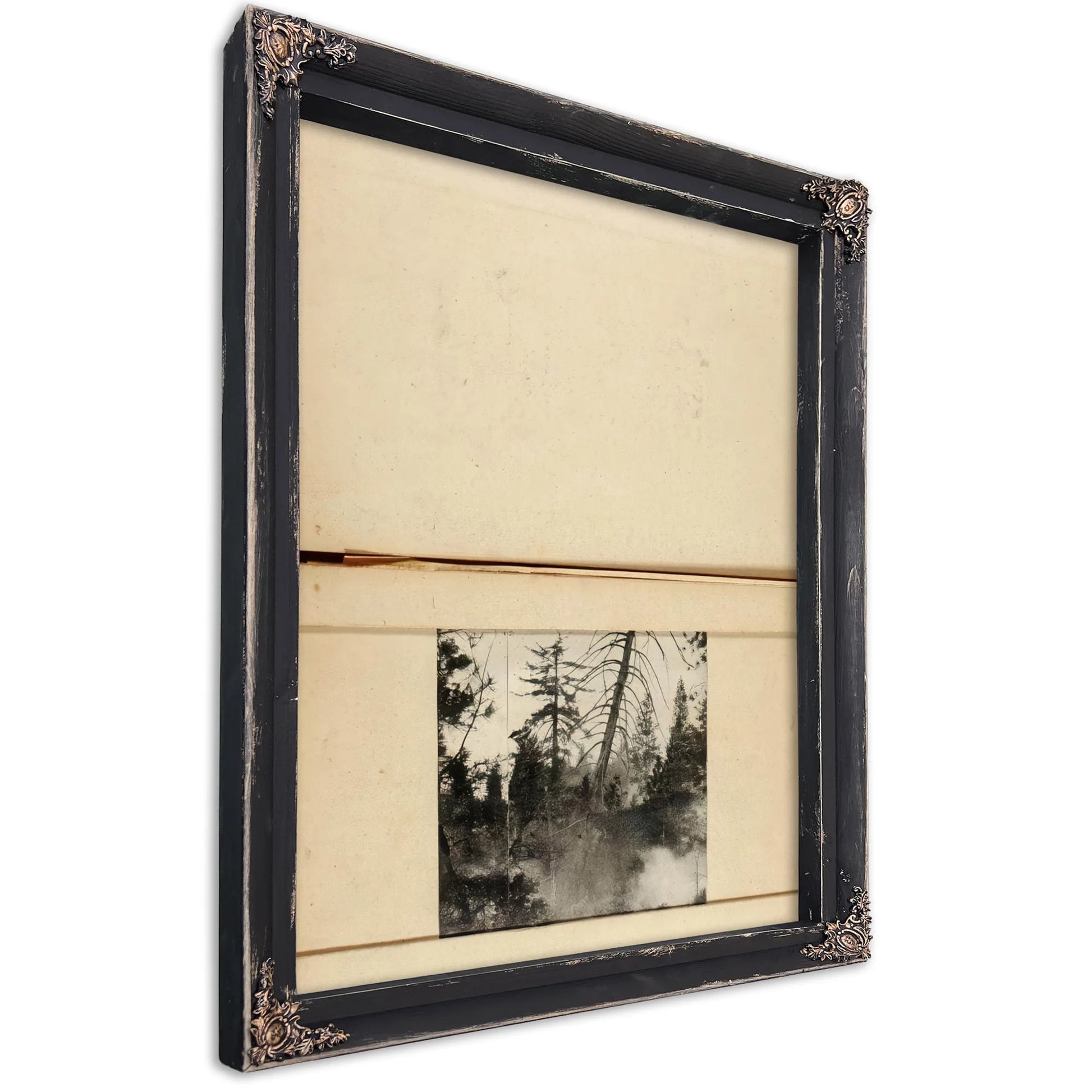Moving Deer, Study Folder For Book Concealing Coloration In The Animal Kingdom By Abbott Handerson Thayer Fine Art Print
