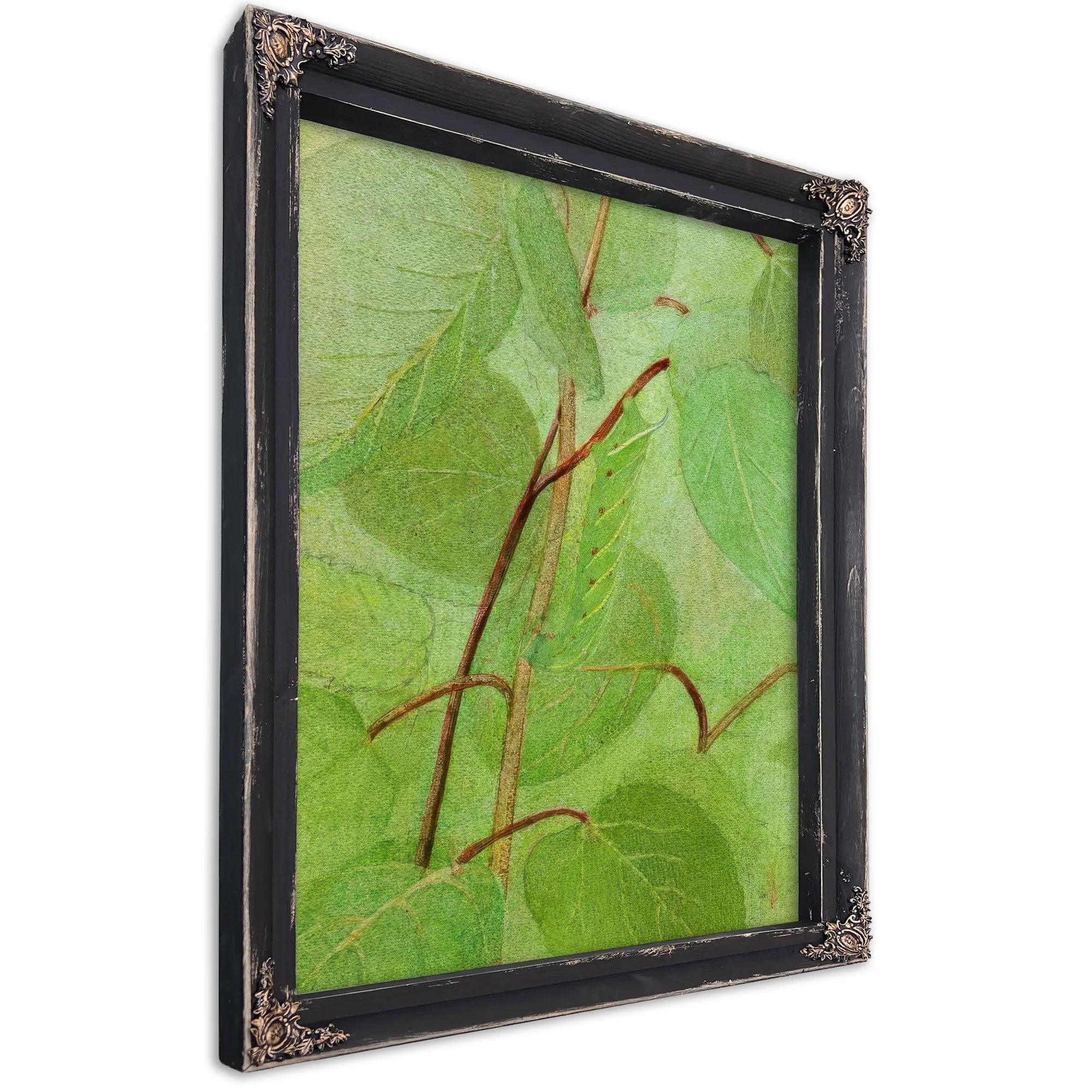 Sphinx Caterpillar, Study For Book Concealing Coloration In The Animal Kingdom By Abbott Handerson Thayer Fine Art Print