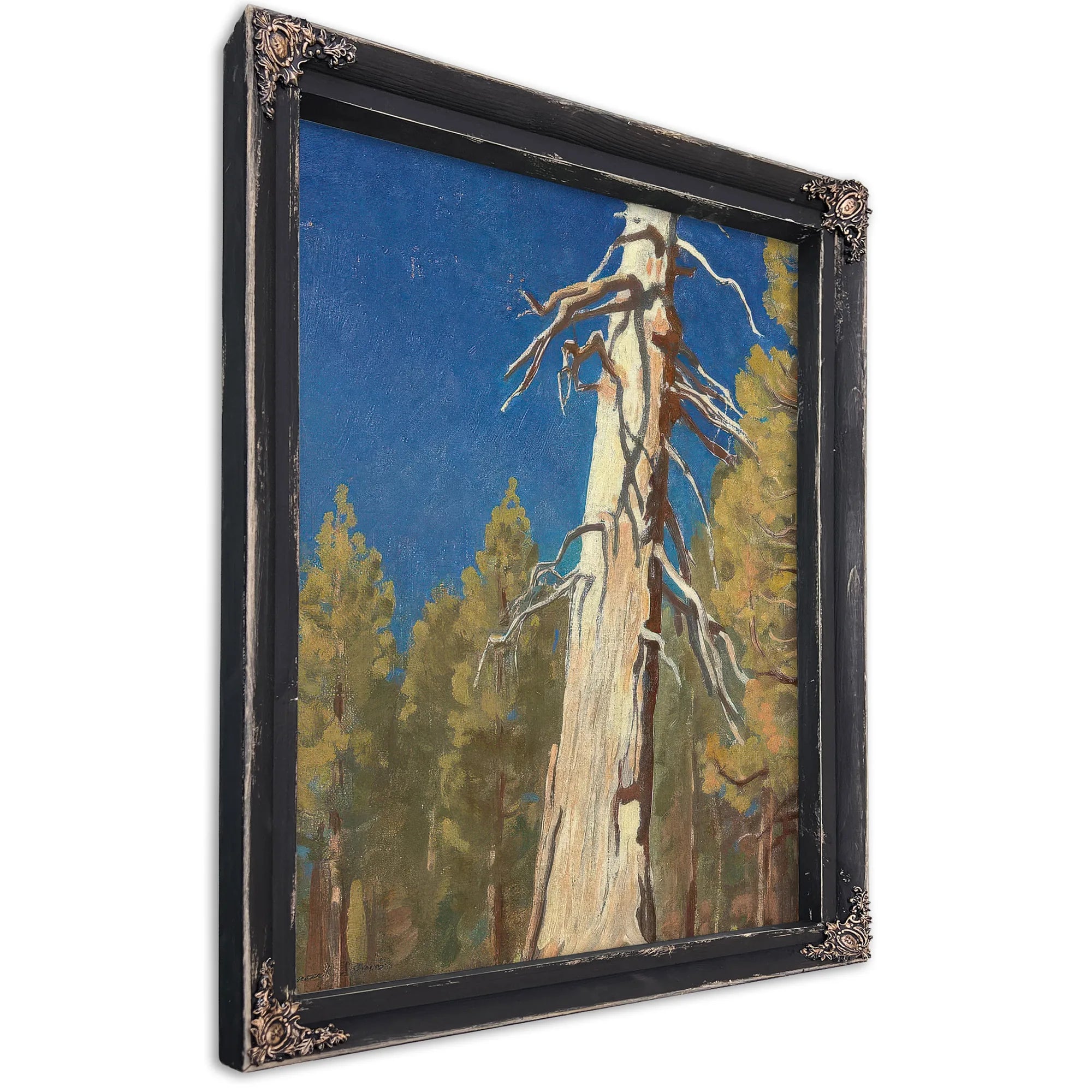 Fallen Leaf 1933 By Maynard Dixon Fine Art Print