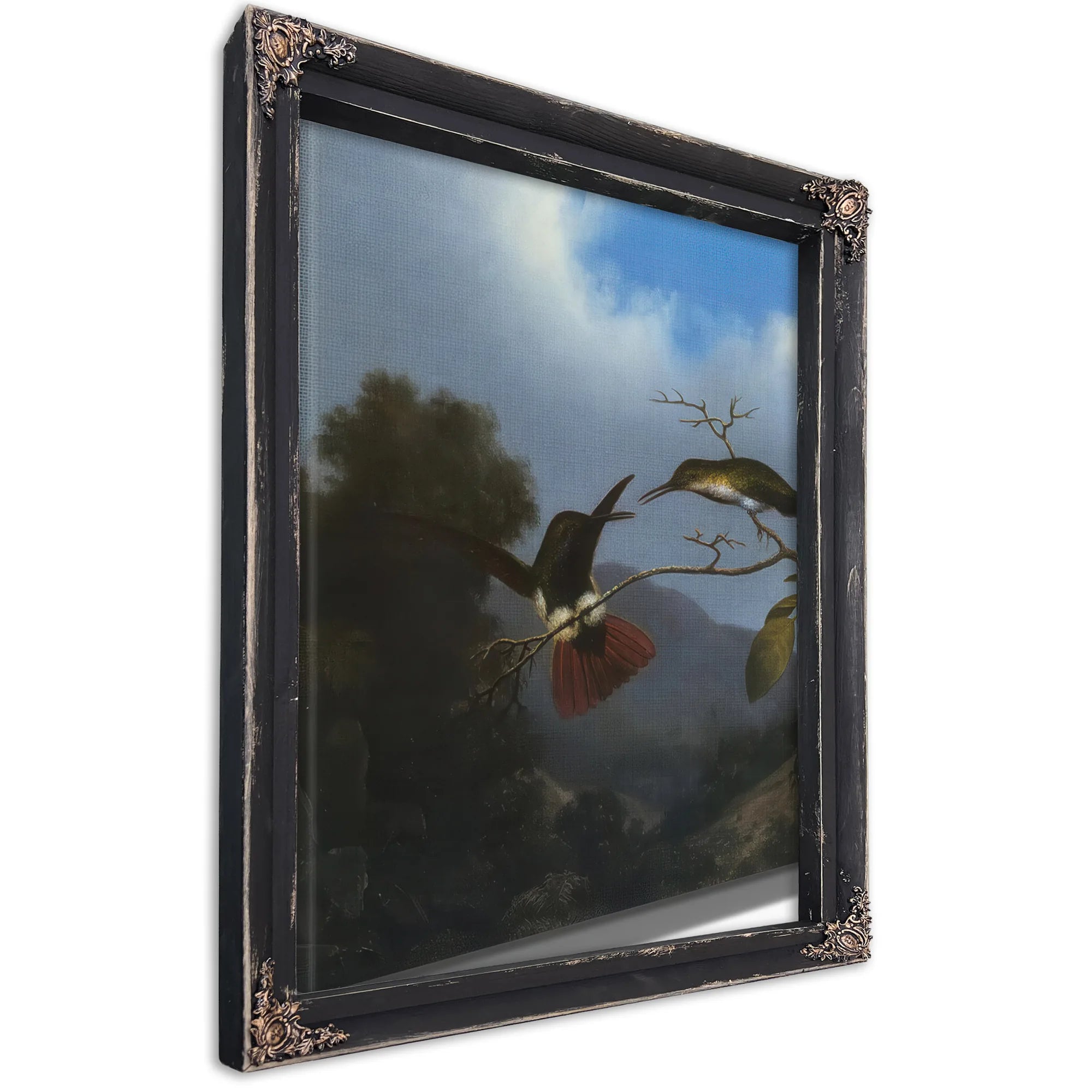 Black Throated Mango By Martin Johnson Heade Fine Art Print