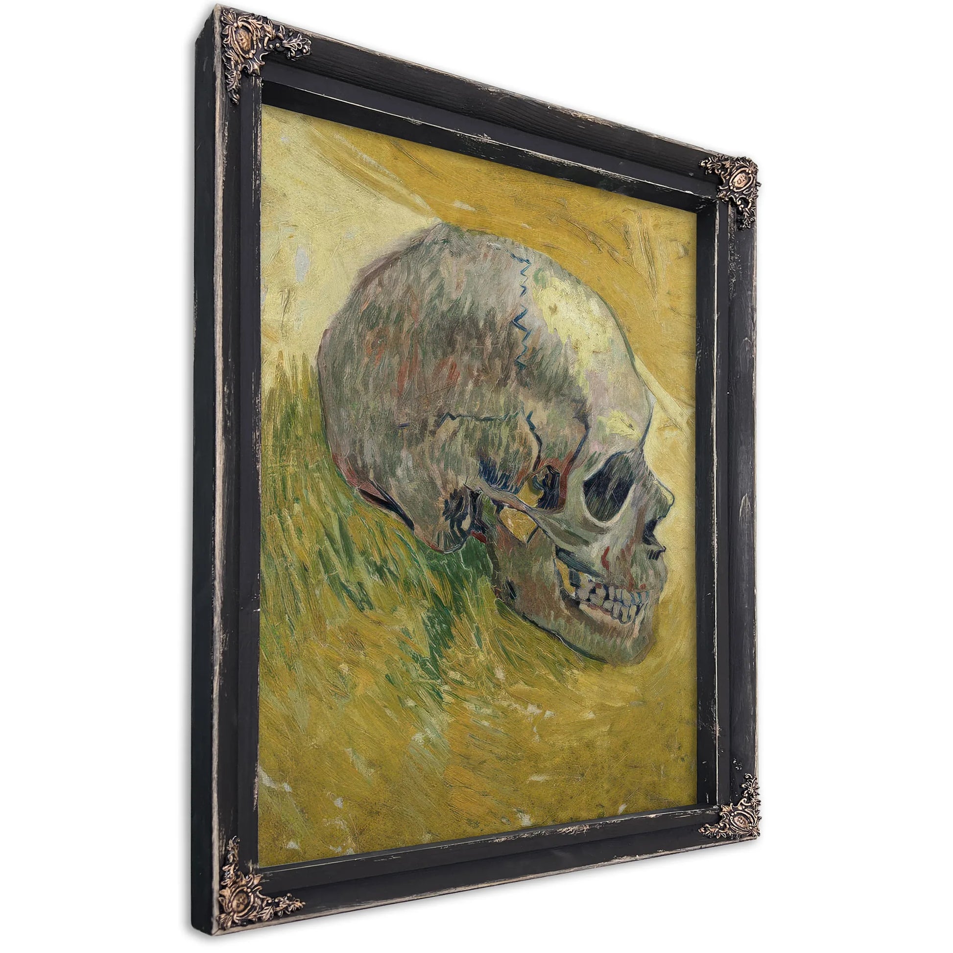 Skull By Vincent Van Gogh Fine Art Print