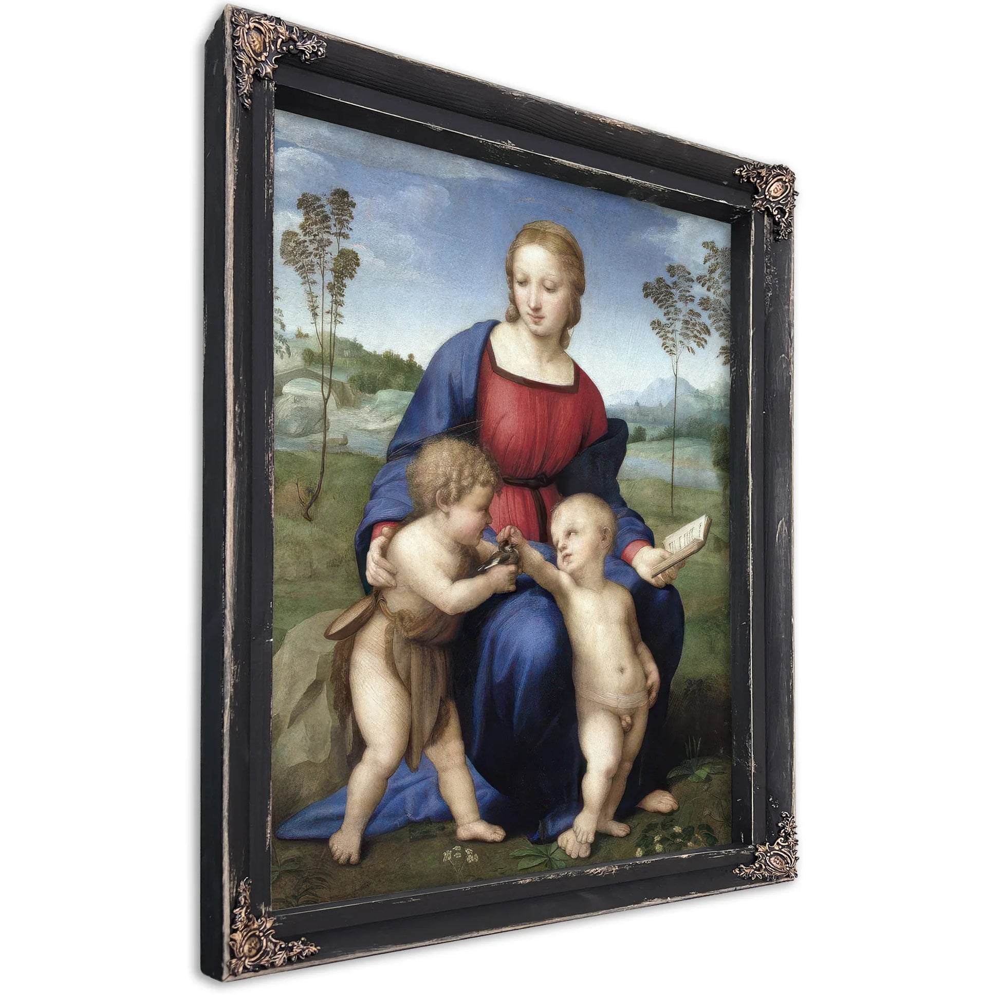 Madonna Del Cardellino (Madonna Of The Goldfinch) By Raphael Fine Art Print
