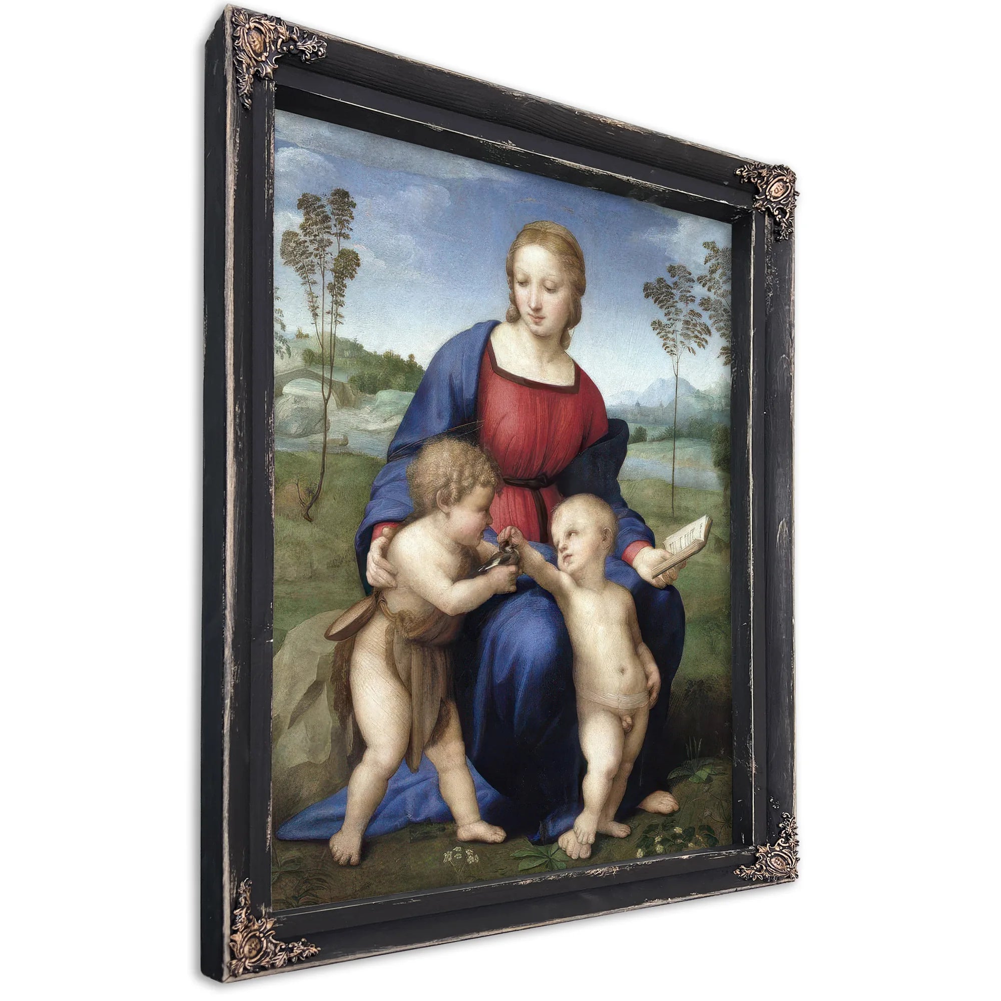Madonna Del Cardellino (Madonna Of The Goldfinch) By Raphael Fine Art Print