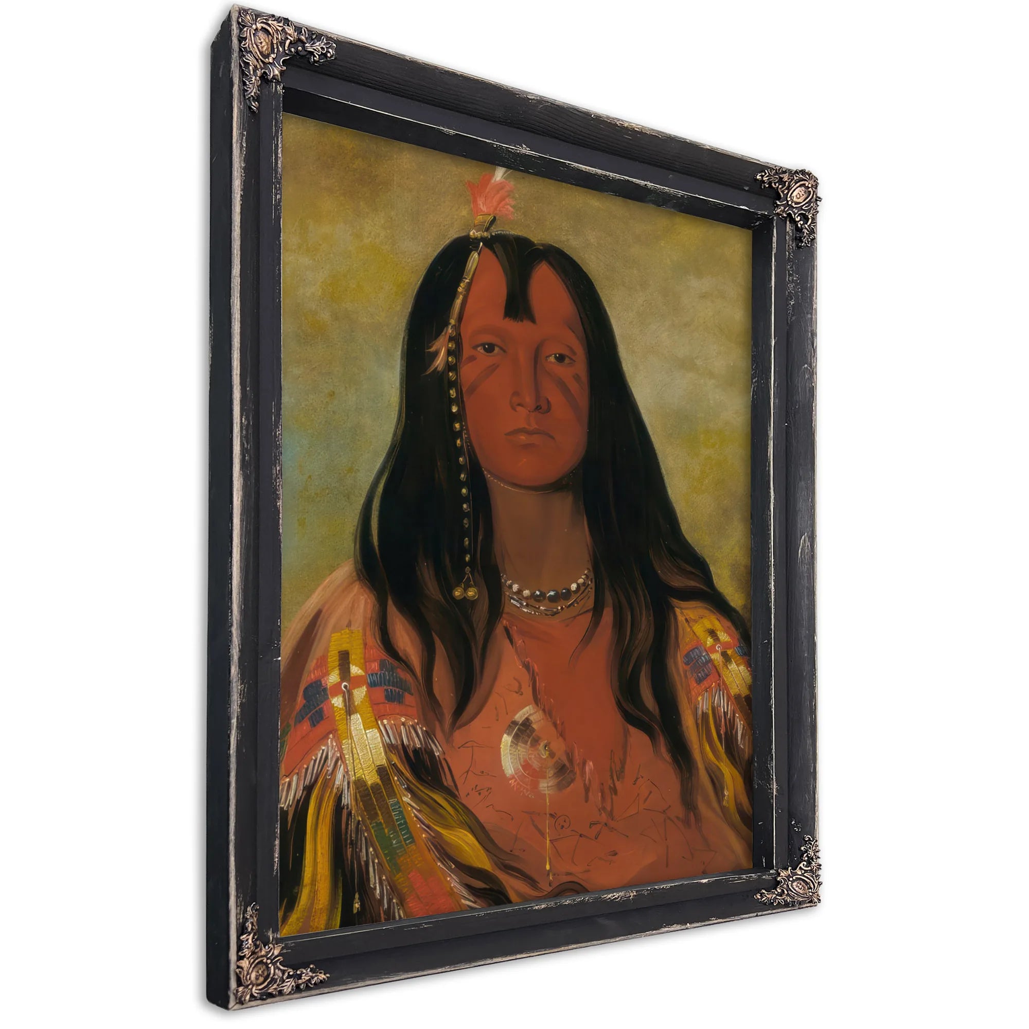 H'co A H'co A H'cotes Min, No Horns On His Head, A Brave By George Catlin Fine Art Print