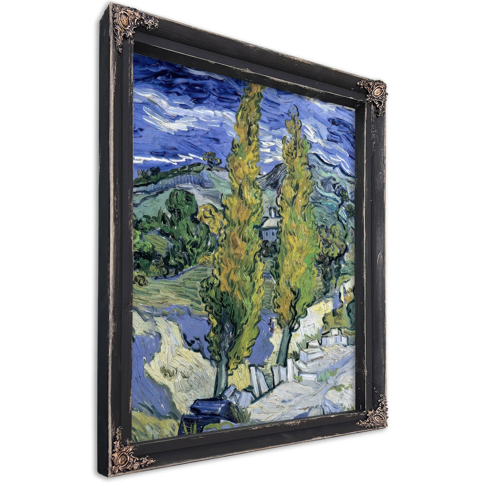 The Poplars At Saint Remy By Vincent Van Gogh Fine Art Print