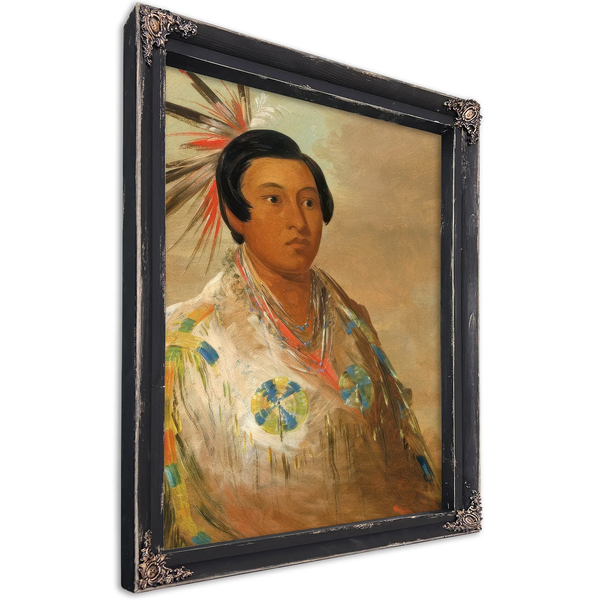 Hee Doh'ge Ats, A Young Man By George Catlin Fine Art Print