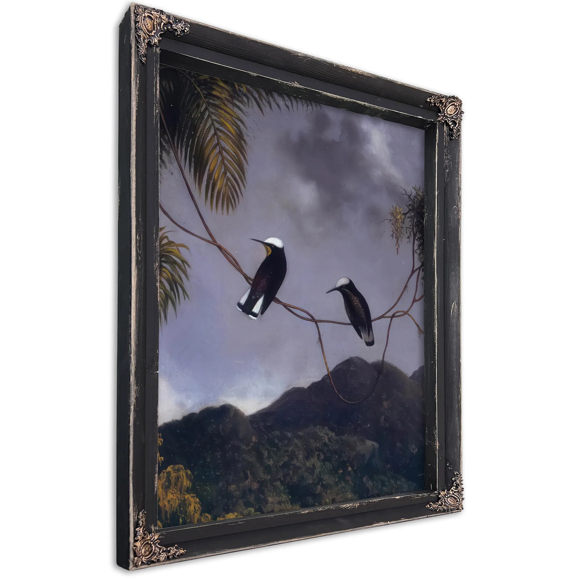 Snowcap By Martin Johnson Heade Fine Art Print