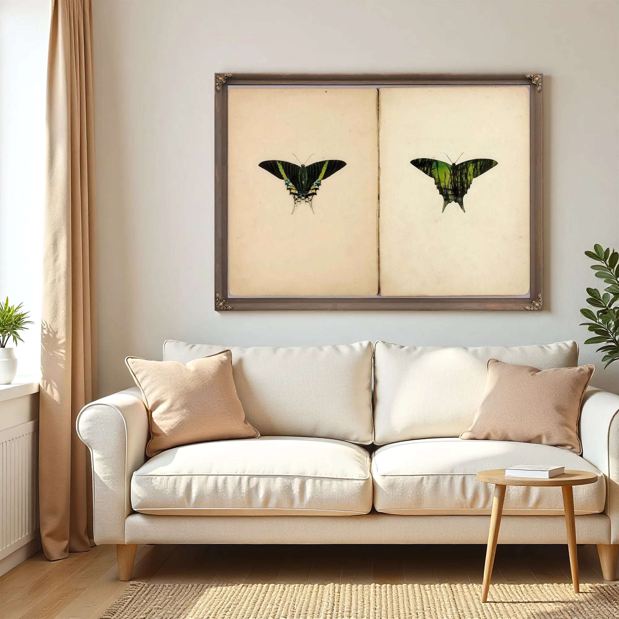 Urania Moth, Study Folder For Book Concealing Coloration In The Animal Kingdom By Abbott Handerson Thayer Fine Art Print
