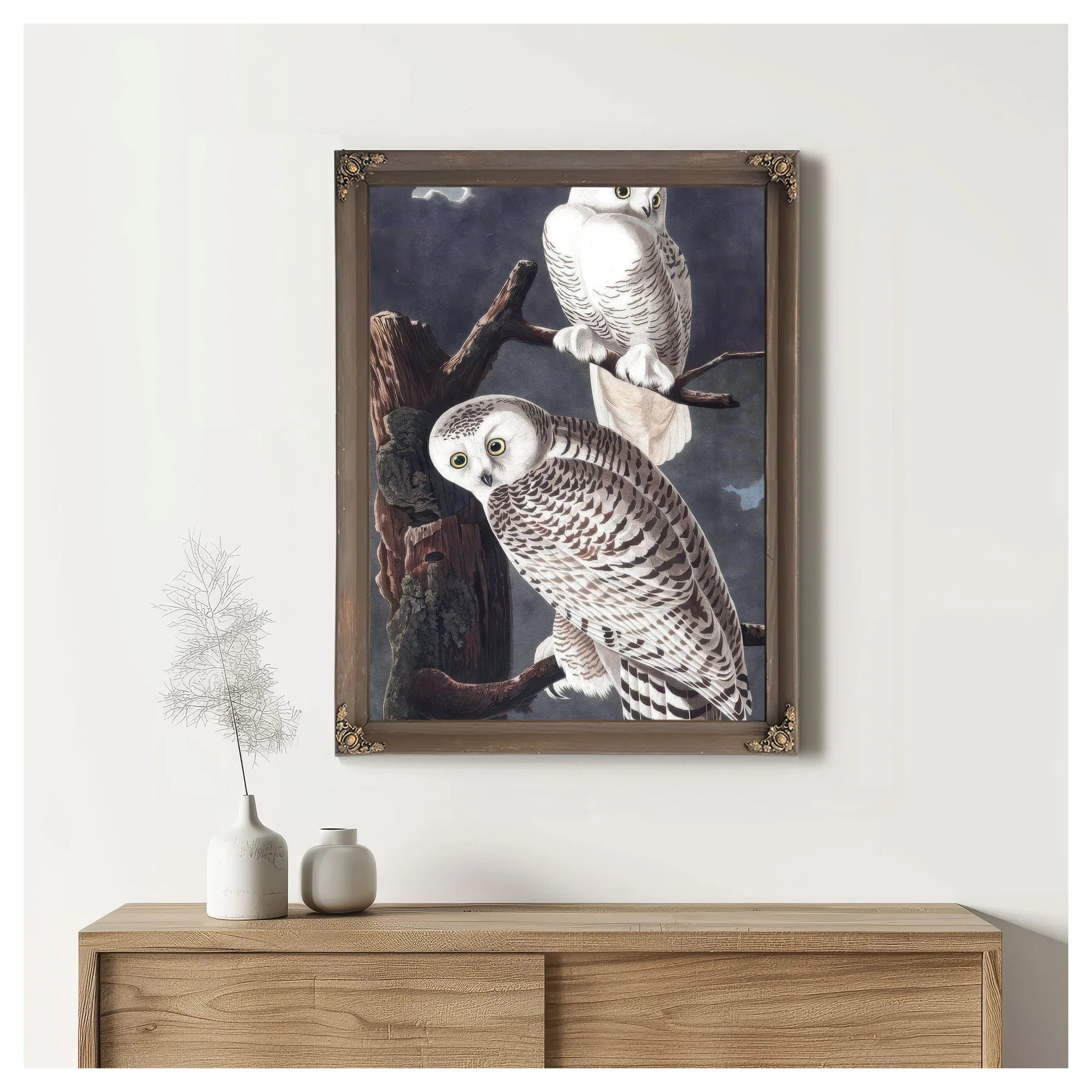 John James Audubon Snowy Owl 1838 By John James Audubon Fine Art Print