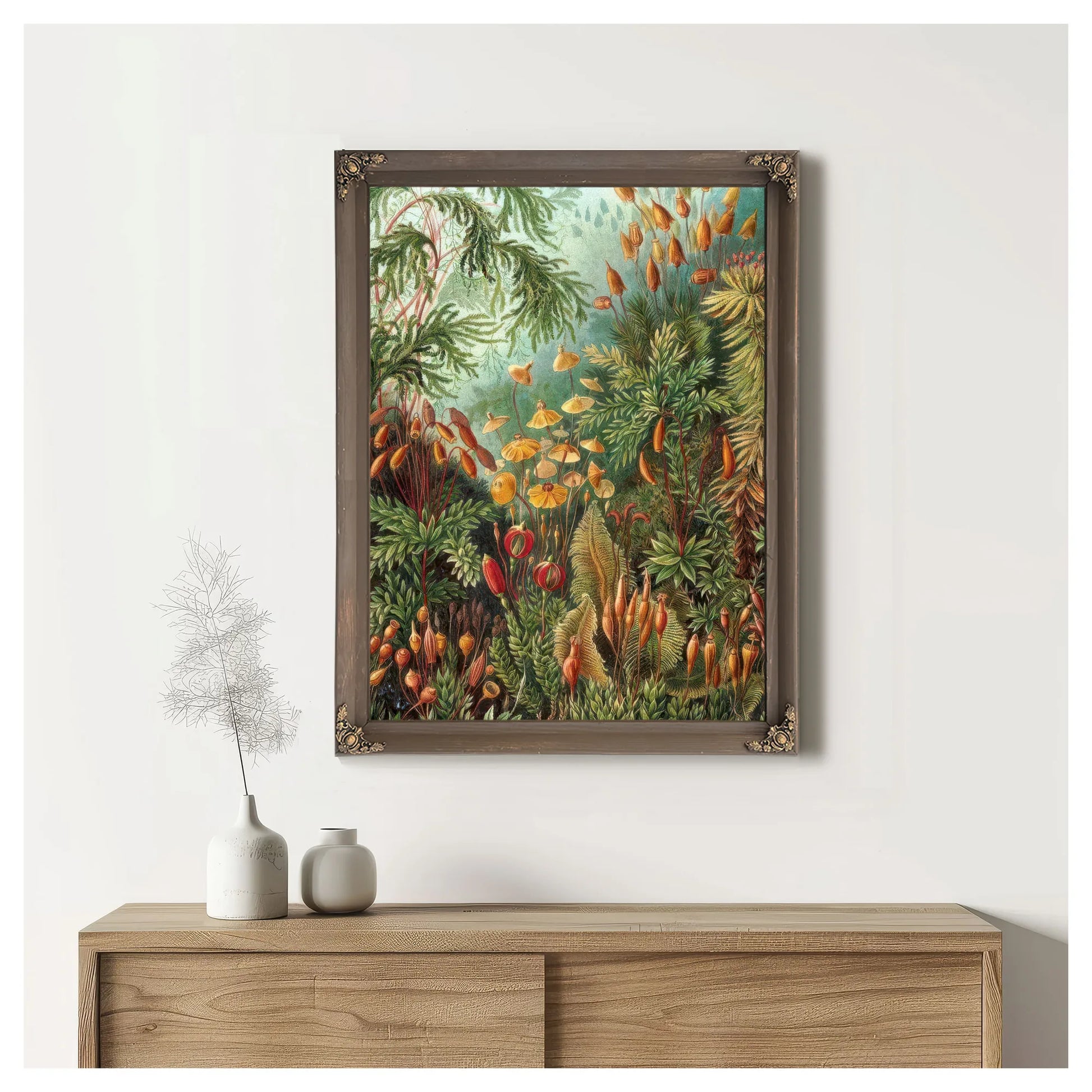 Art Forms In Nature Plate 72 Muscinae 1904 By Ernst Haeckel Fine Art Print