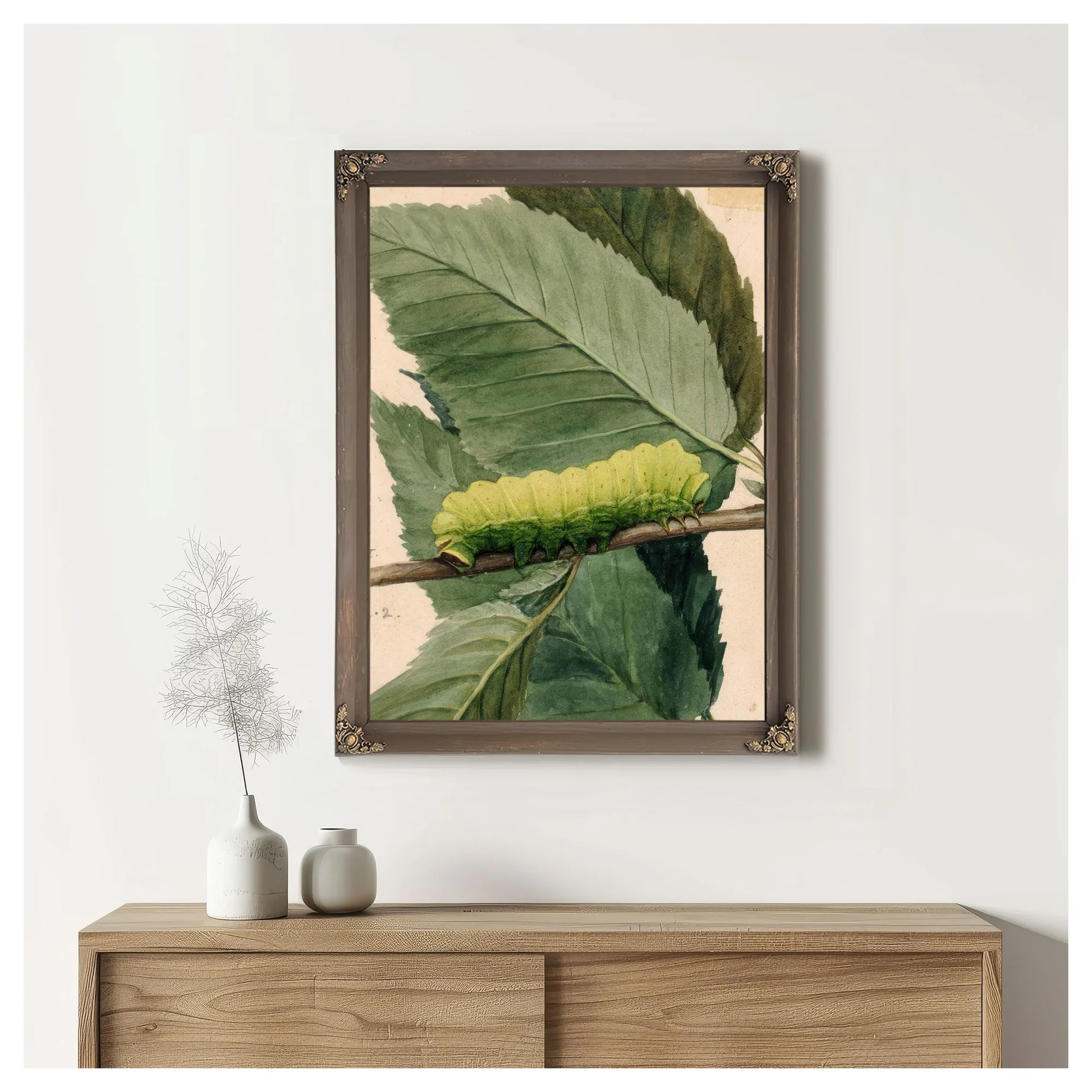 Lunar Caterpillar, Study For Book Concealing Coloration In The Animal Kingdom 1 By Abbott Handerson Thayer Fine Art Print