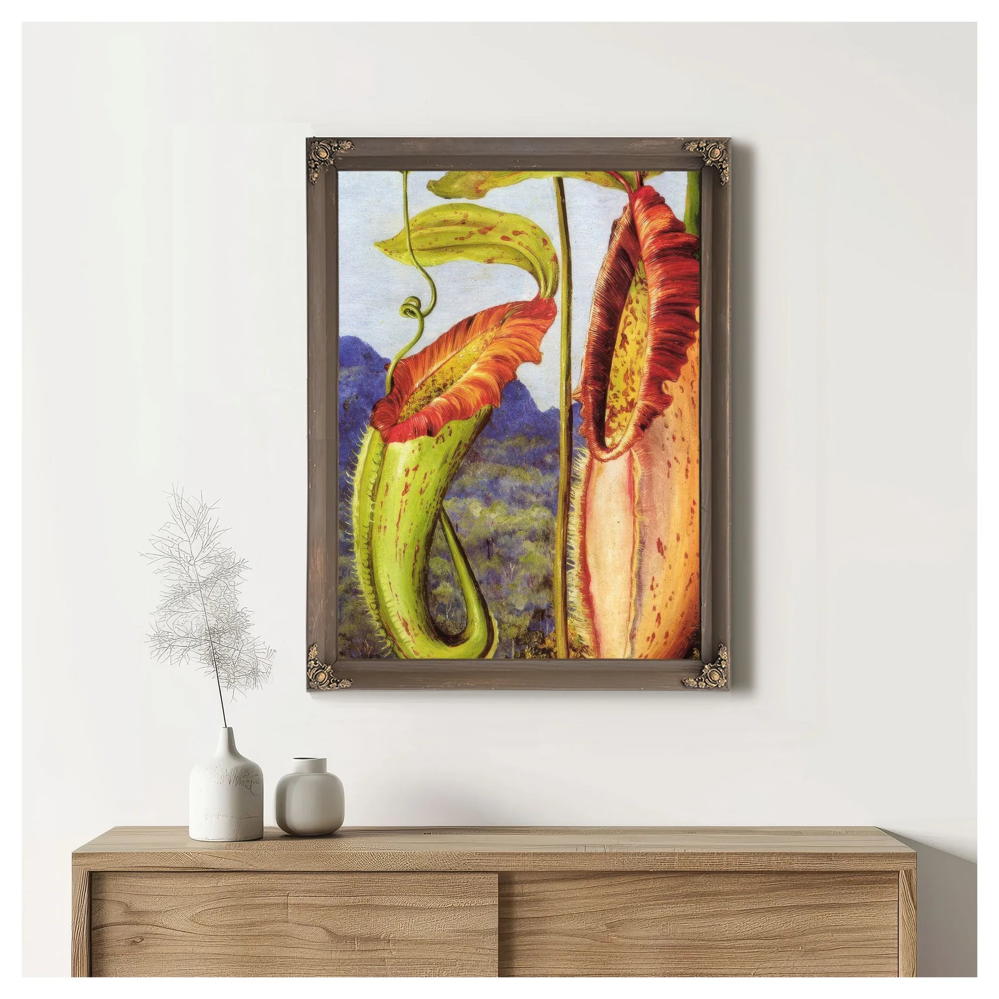 Nepenthes Northiana By Marianne North Fine Art Print