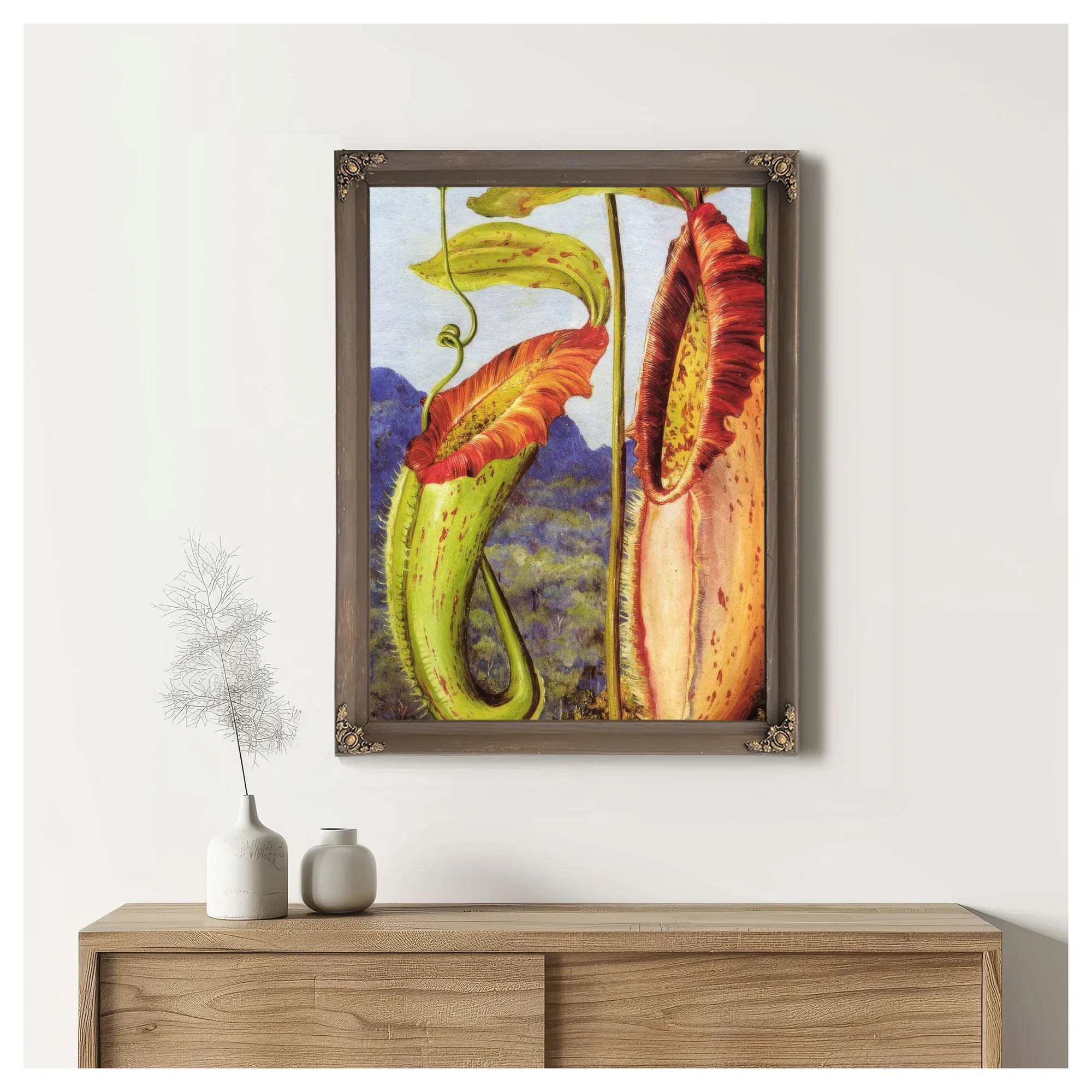 Nepenthes Northiana By Marianne North Fine Art Print