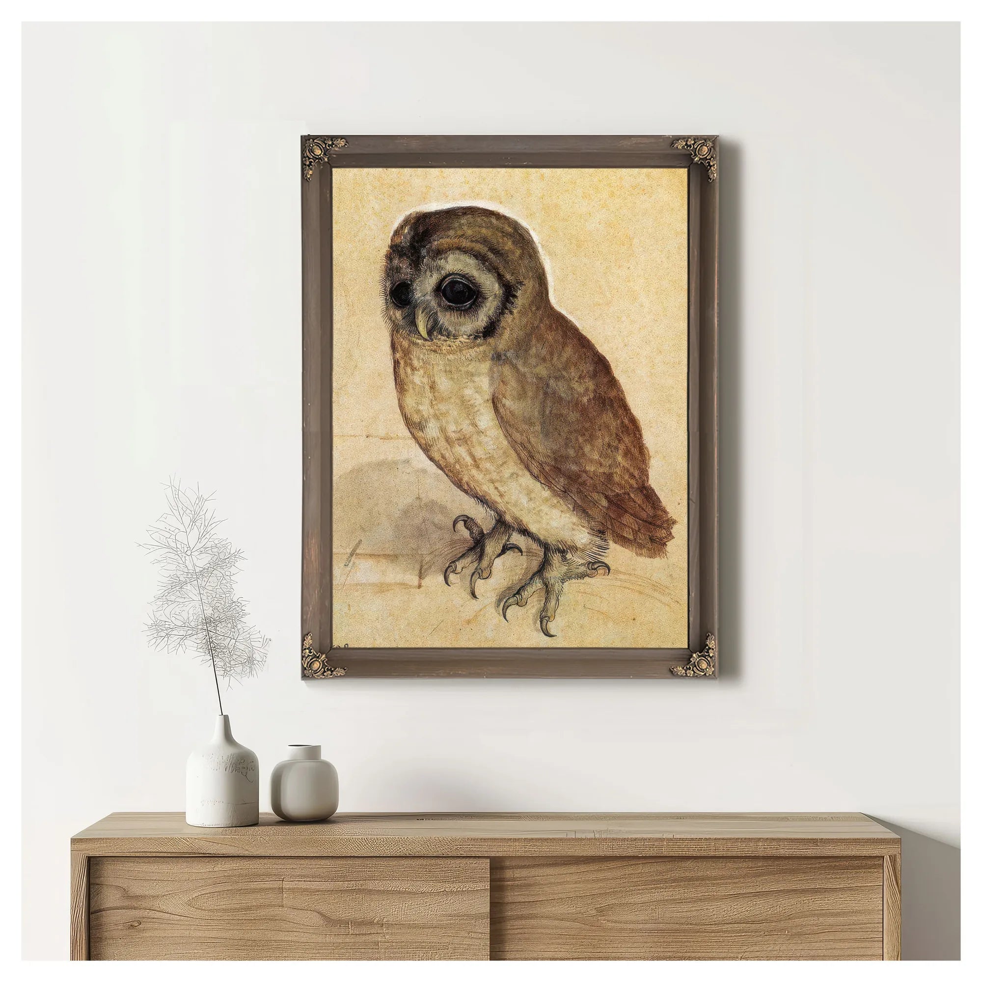 The Little Owl 1506 By Albrecht Durer Fine Art Print
