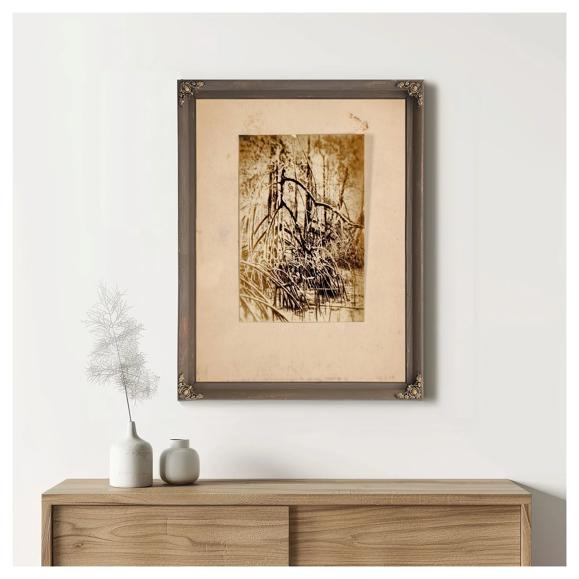 Photo Of Marsh, Study Folder For Book Concealing Coloration In The Animal Kingdom By Abbott Handerson Thayer Fine Art Print