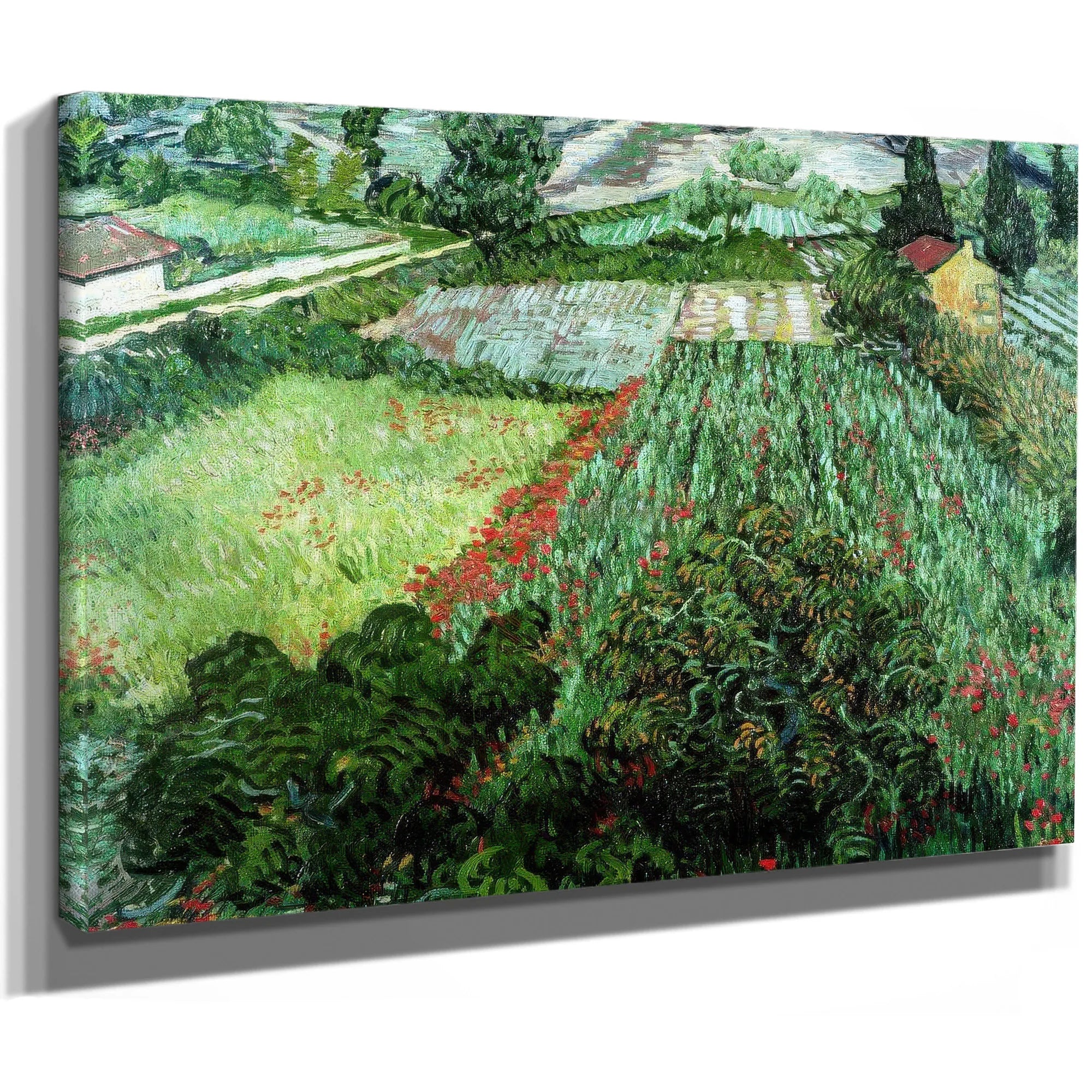 Field With Poppies By Vincent Van Gogh Fine Art Print