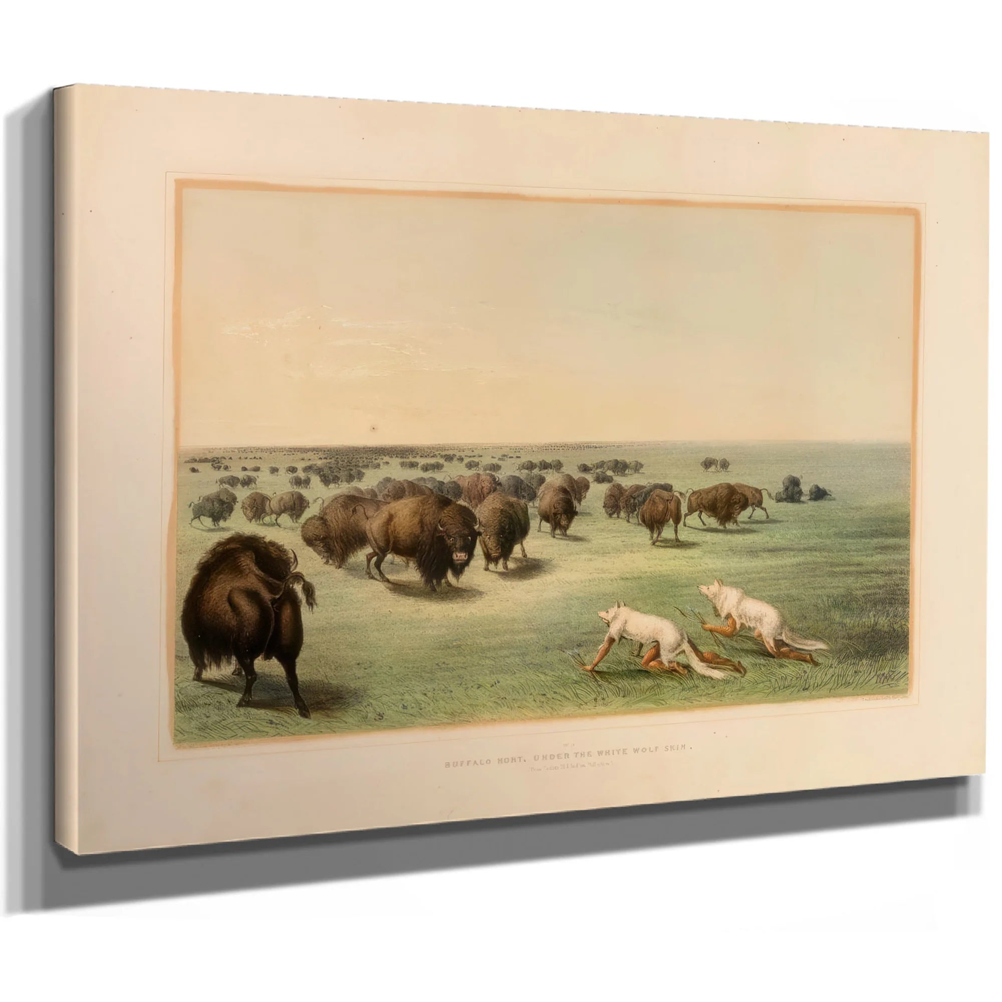 Buffalo Hunt, Under The White Wolfskin No. 13 By George Catlin Fine Art Print