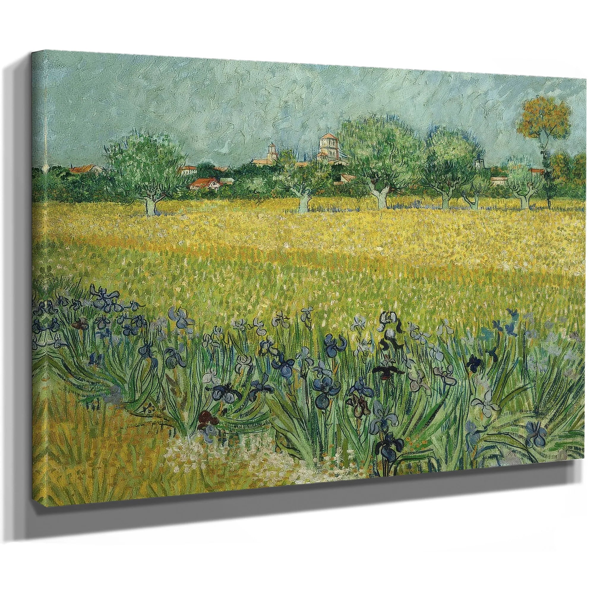 Field With Flowers Near Arles By Vincent Van Gogh Fine Art Print