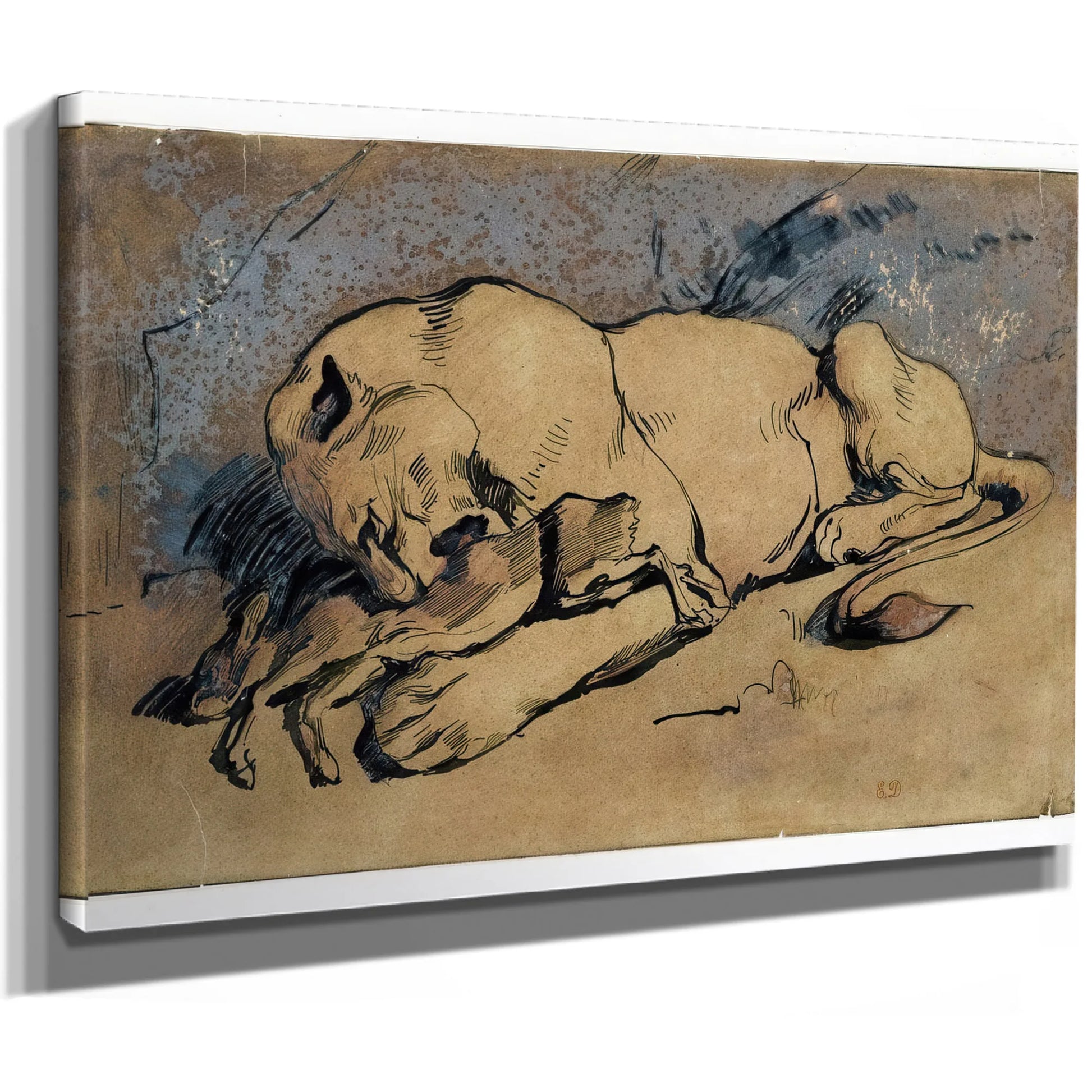 Lioness Devouring A Rabbit By Eugene Delacroix Fine Art Print