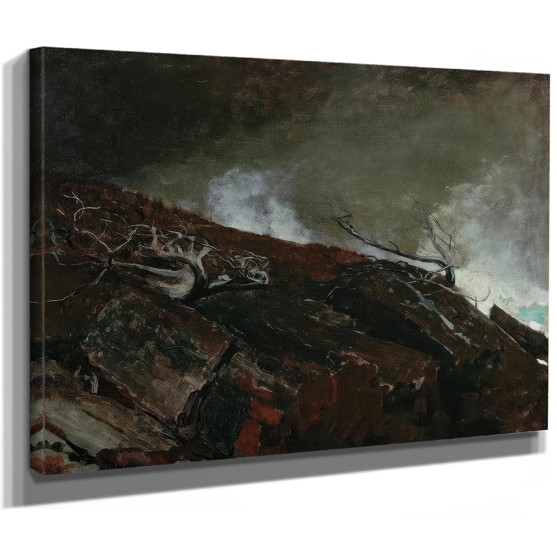 Coast Of Maine By Winslow Homer Fine Art Print