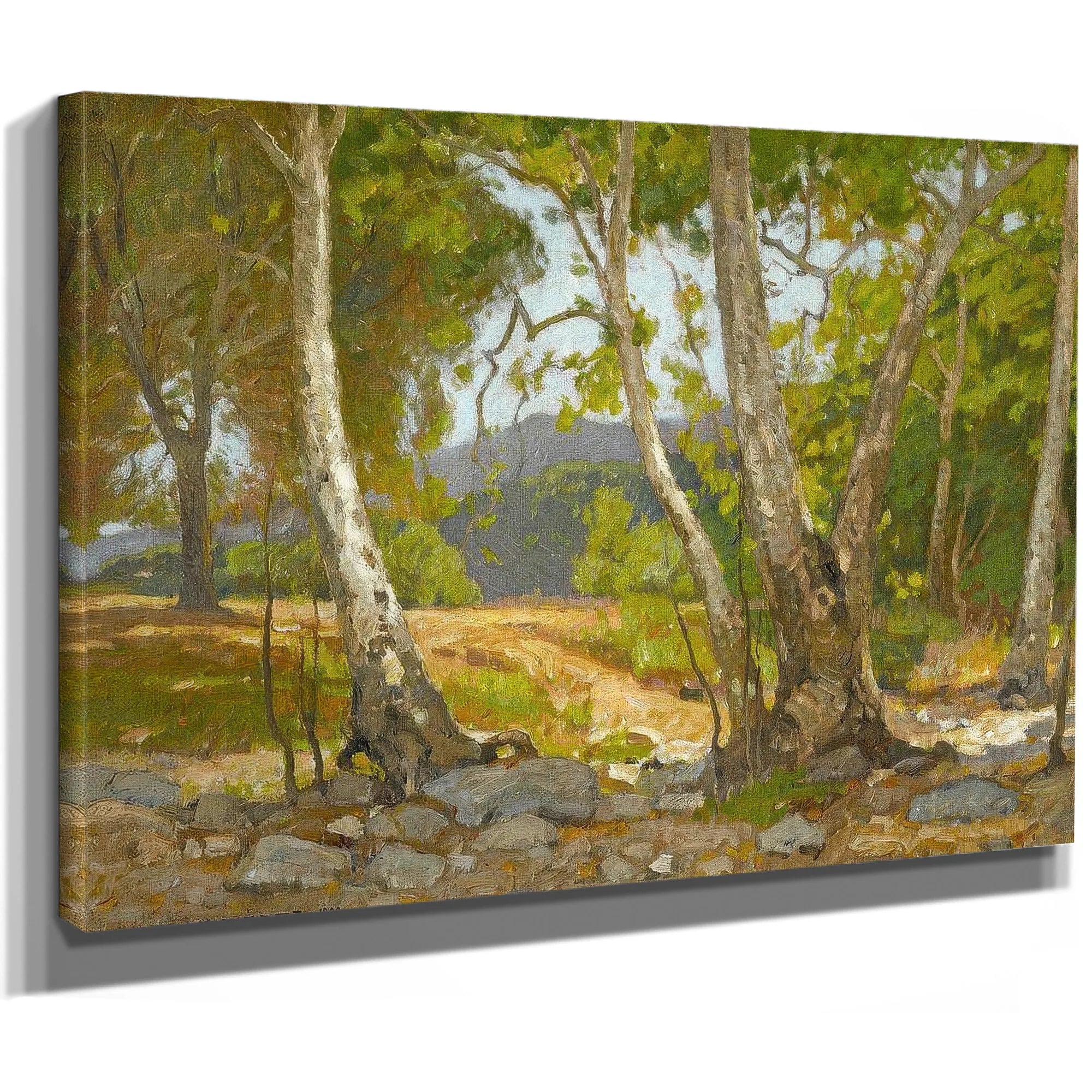 Shady Canyon 1909 By William Wendt Fine Art Print