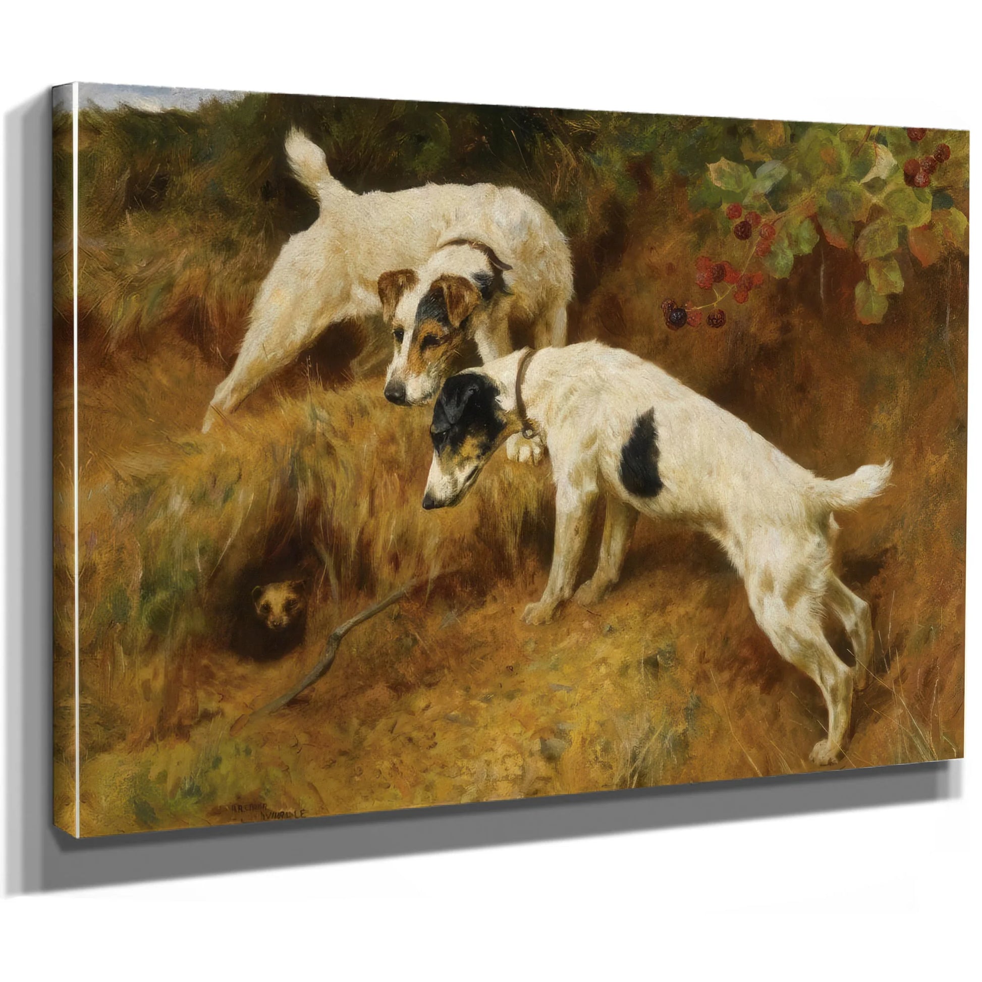 No One Home By Arthur Wardle Fine Art Print