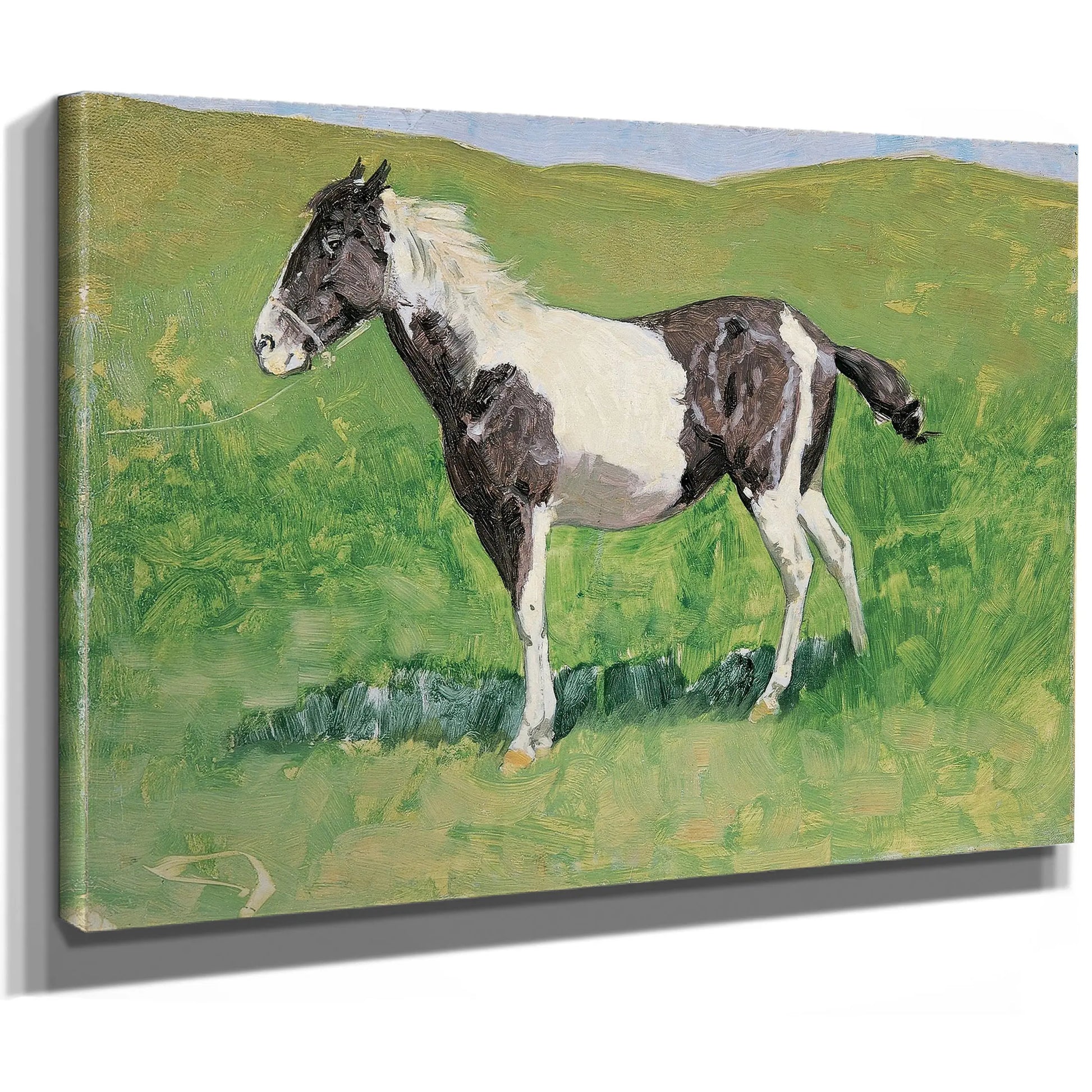 Untitled Pony Study by Frederic Remington