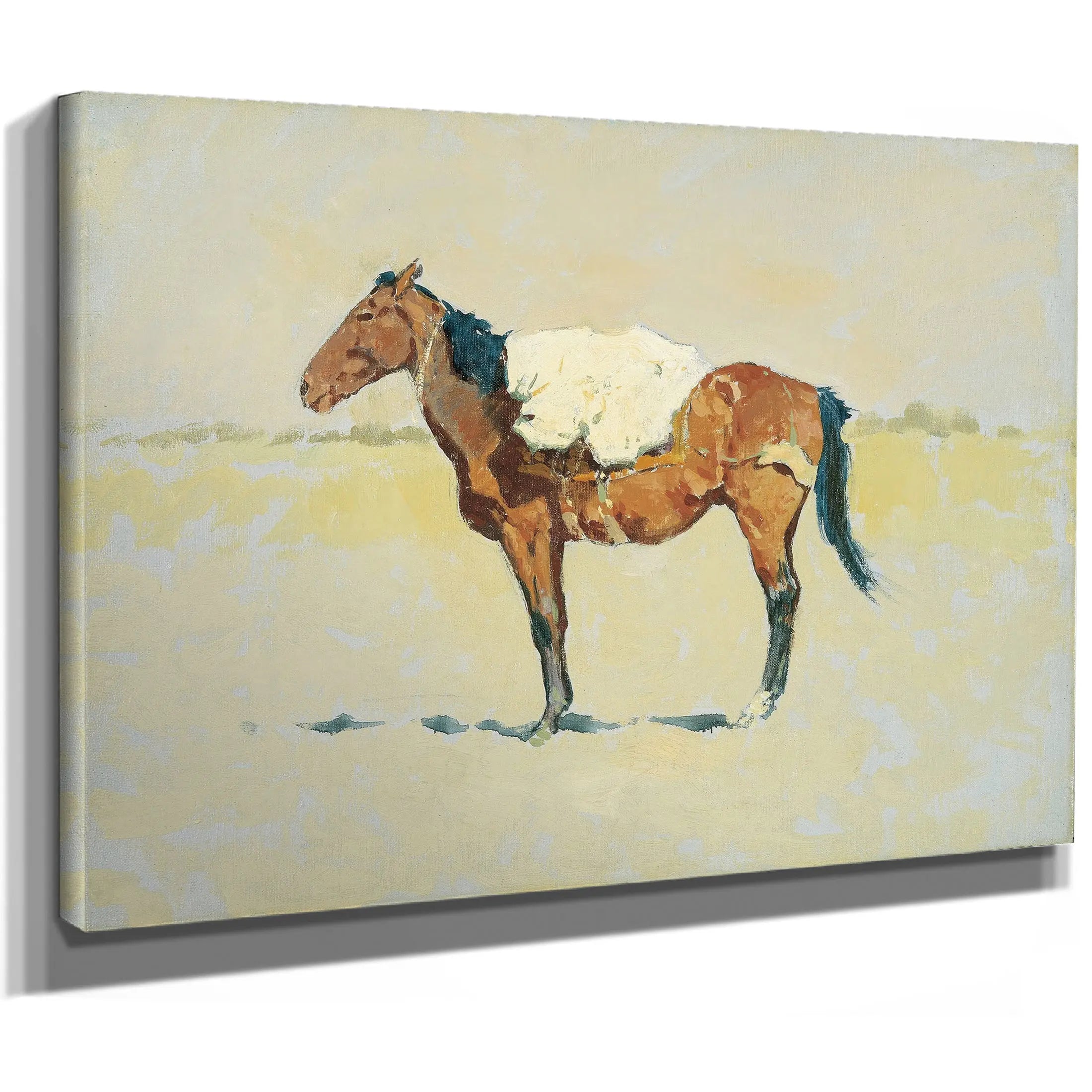 Study For Pack Horse by Frederic Remington