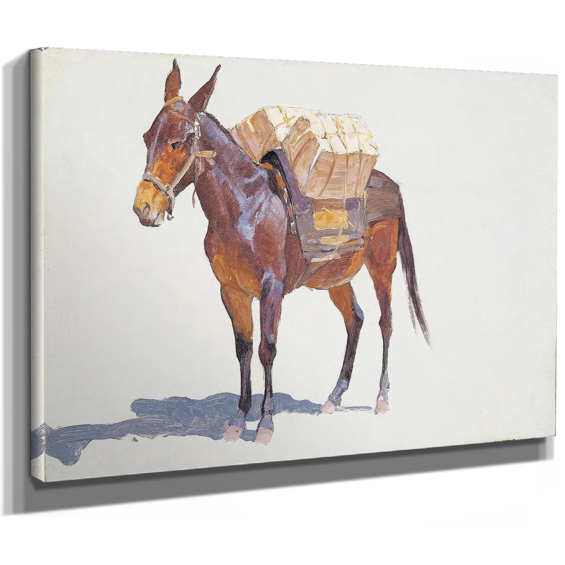 Untitled Pack Mule Study by Frederic Remington