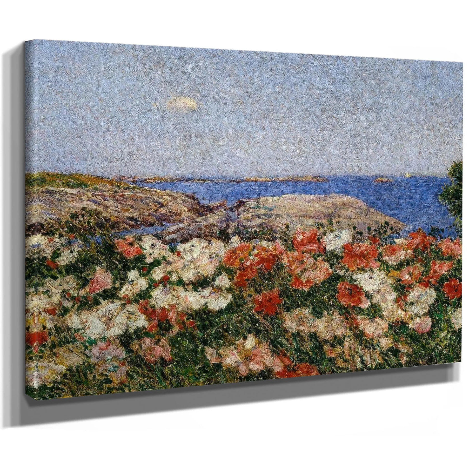 Poppies On The Isle Of Shoals By Childe Hassam Fine Art Print