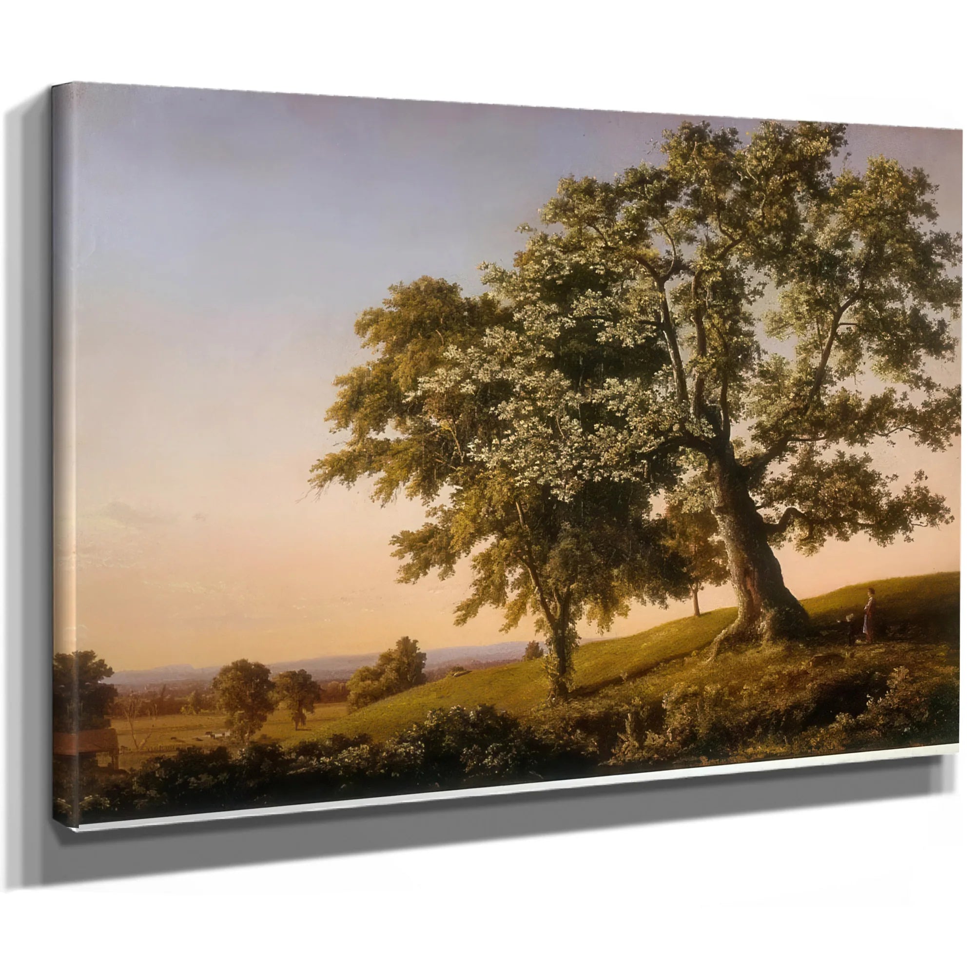 The Charter Oak By Frederic Edwin Church Fine Art Print