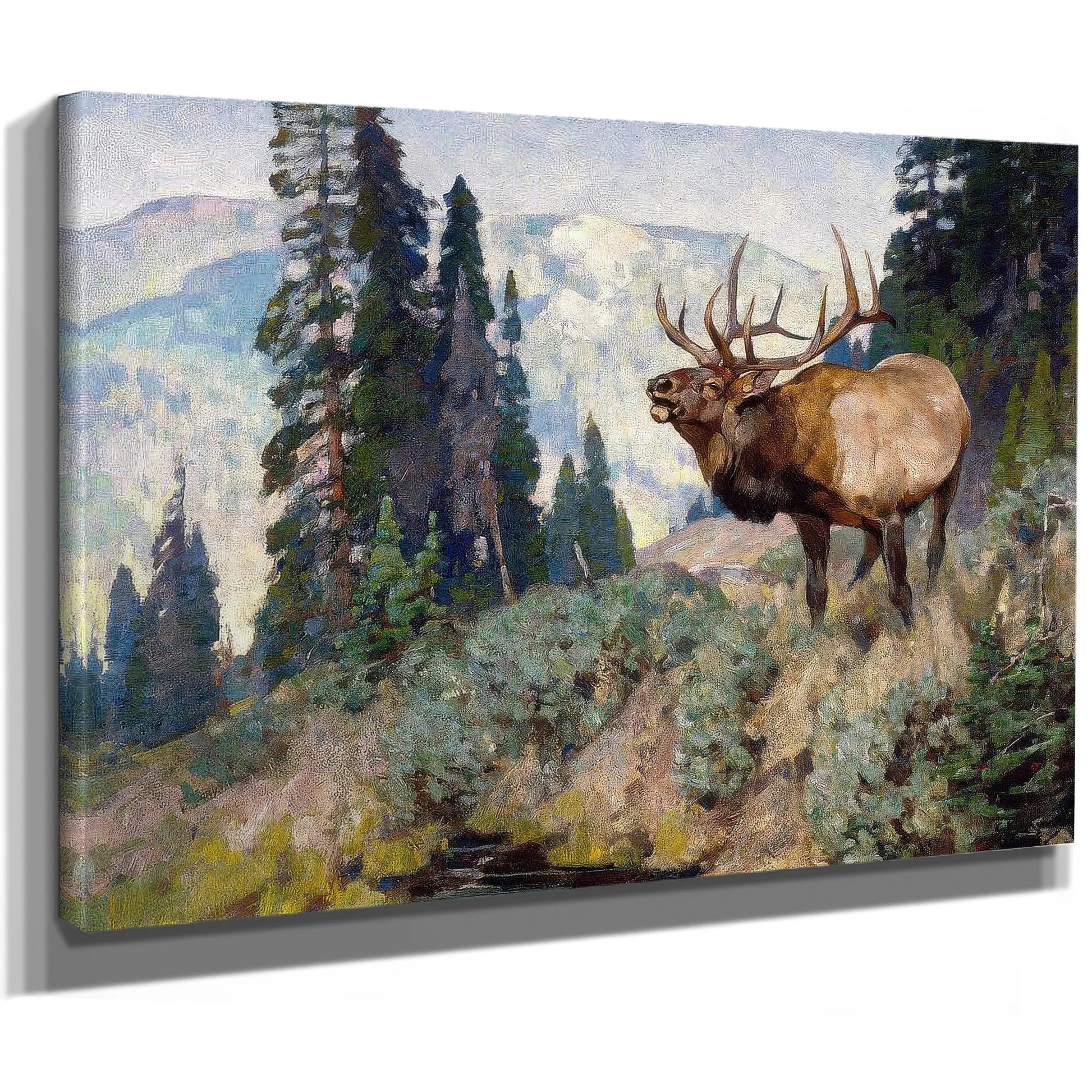 Wind River Bugler By Carl Rungius Fine Art Print