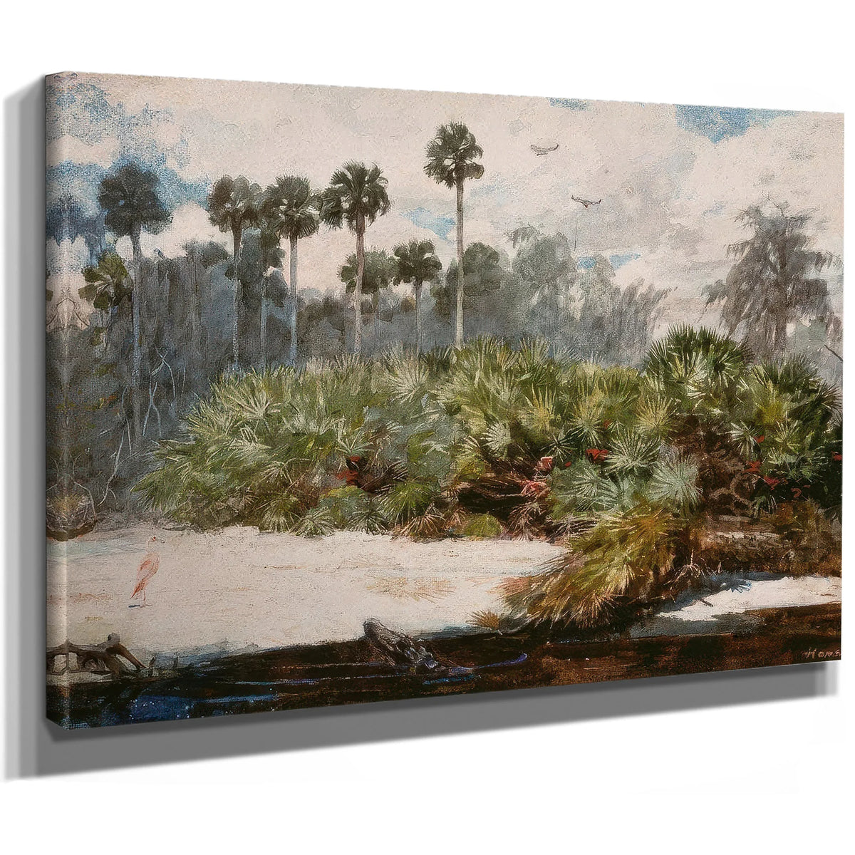 In A Florida Jungle By Winslow Homer