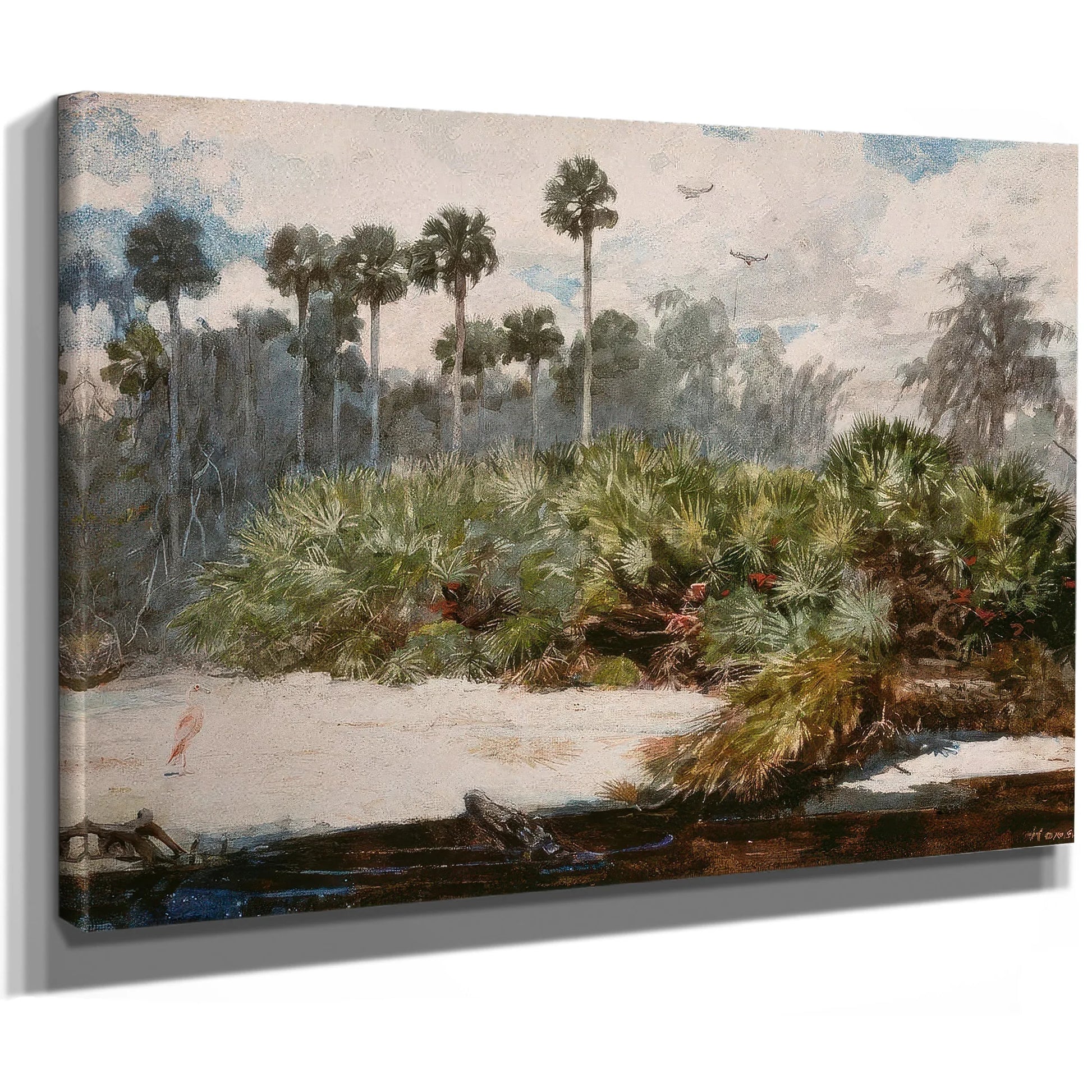 In A Florida Jungle By Winslow Homer Fine Art Print