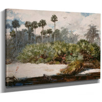 In A Florida Jungle By Winslow Homer