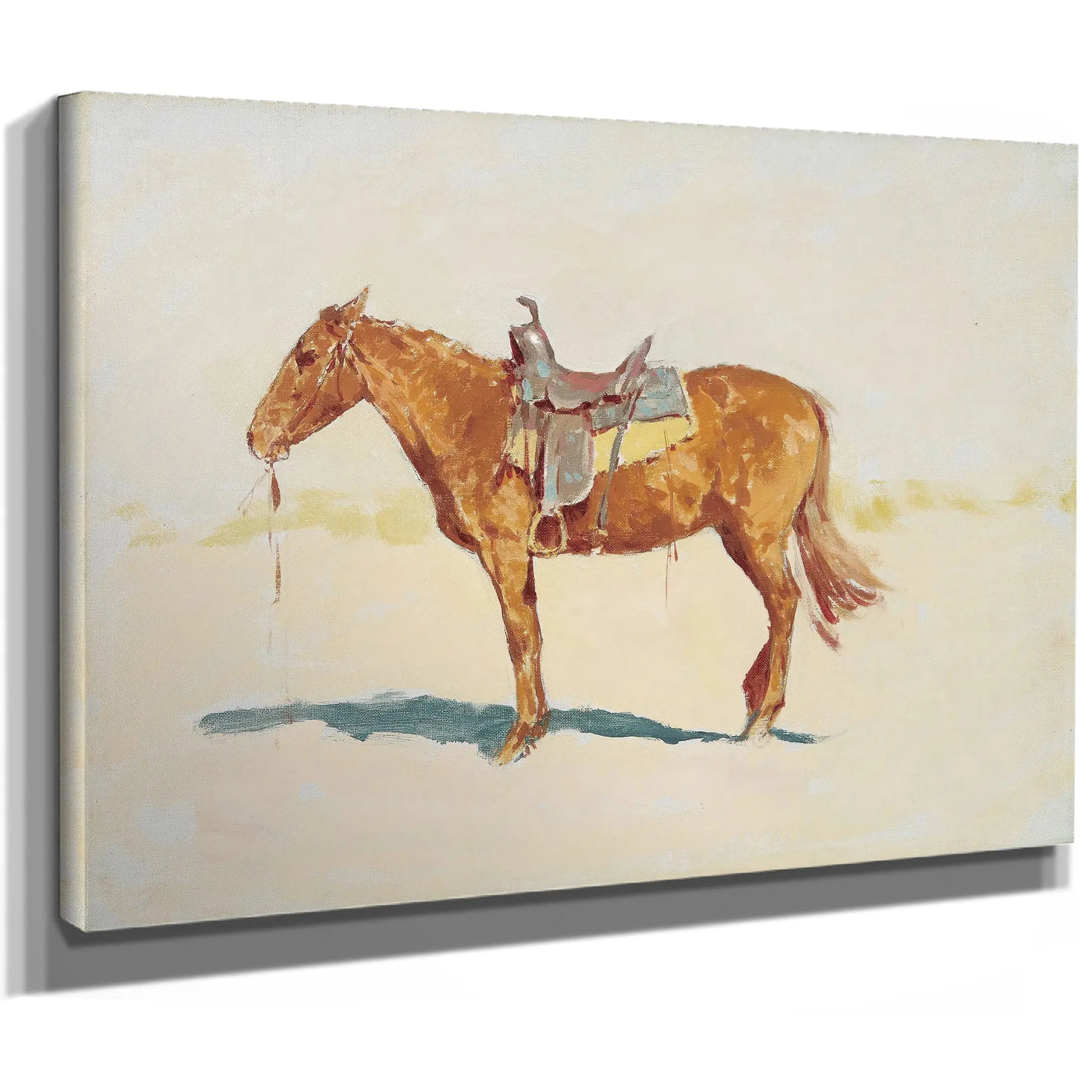 Untitled Horse Study  by Frederic Remington