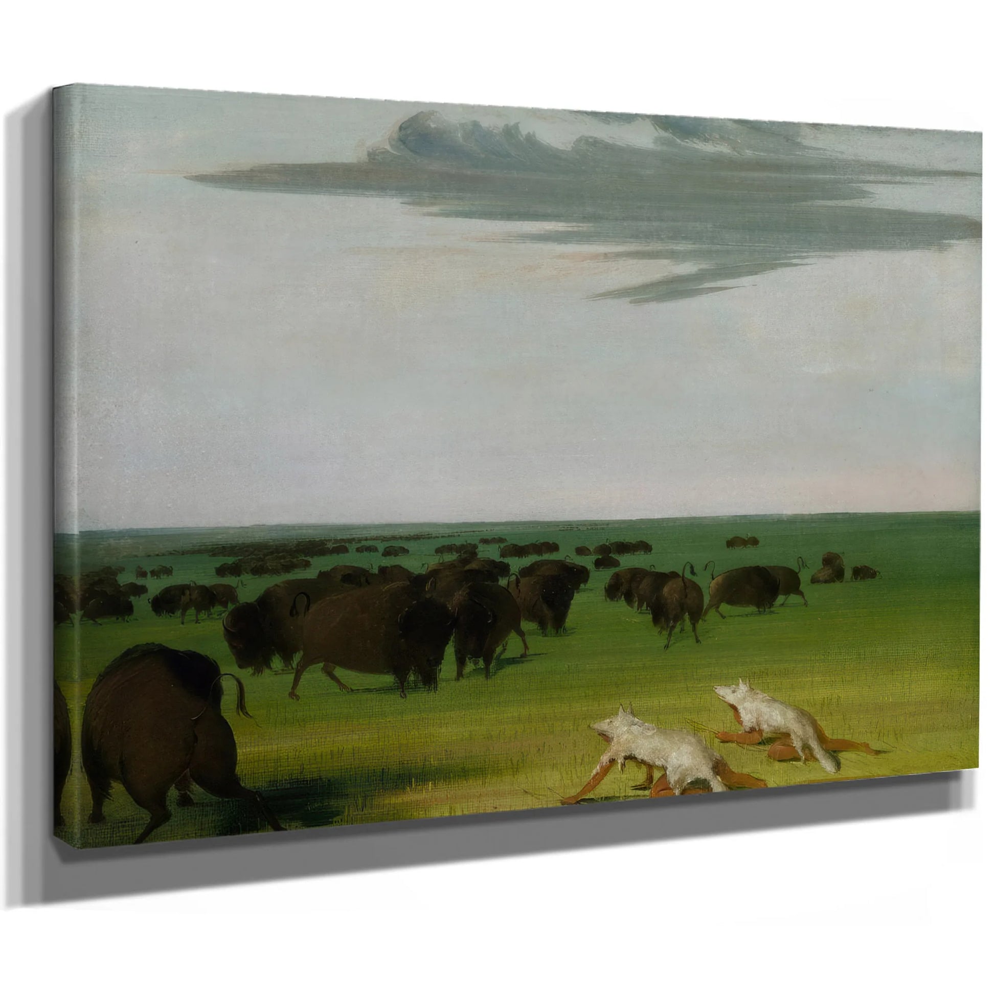 Buffalo Hunt Under The Wolf Skin Mask By George Catlin Fine Art Print