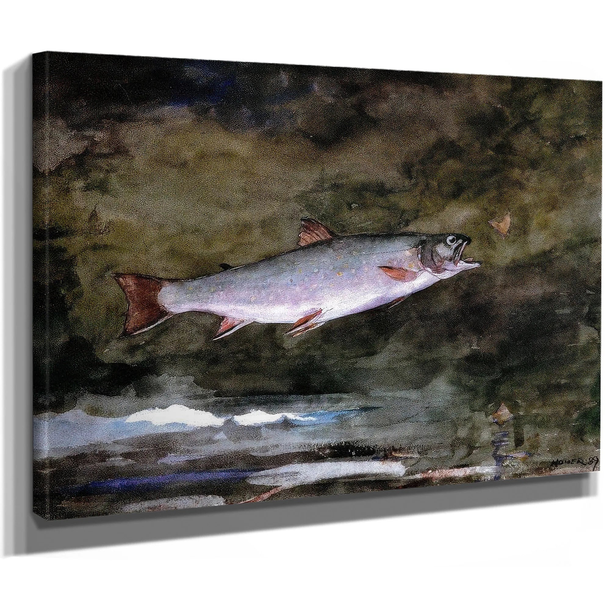 Leaping Trout By Winslow Homer Fine Art Print