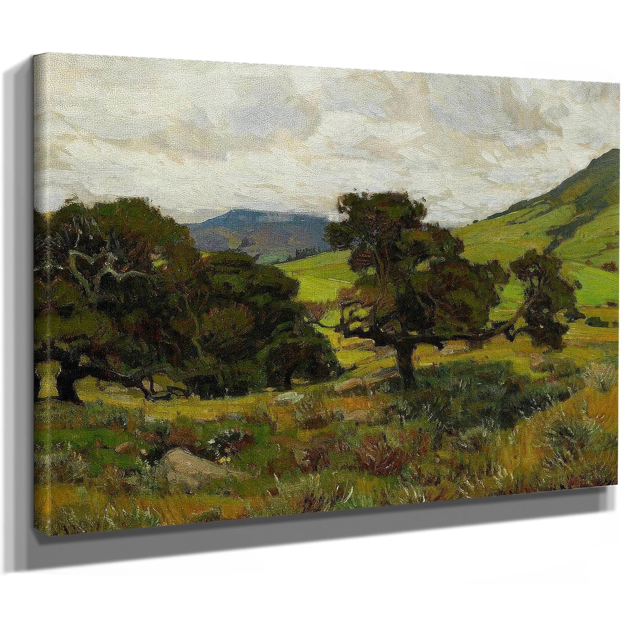 California Hills By William Wendt Fine Art Print