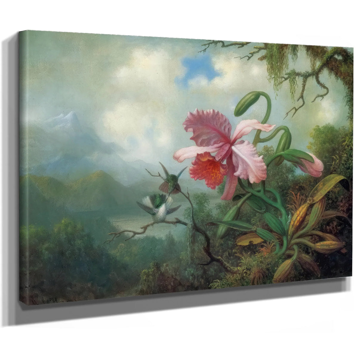 Orchid And Hummingbirds Near A Mountain Lake By Martin Johnson Heade Fine Art Print
