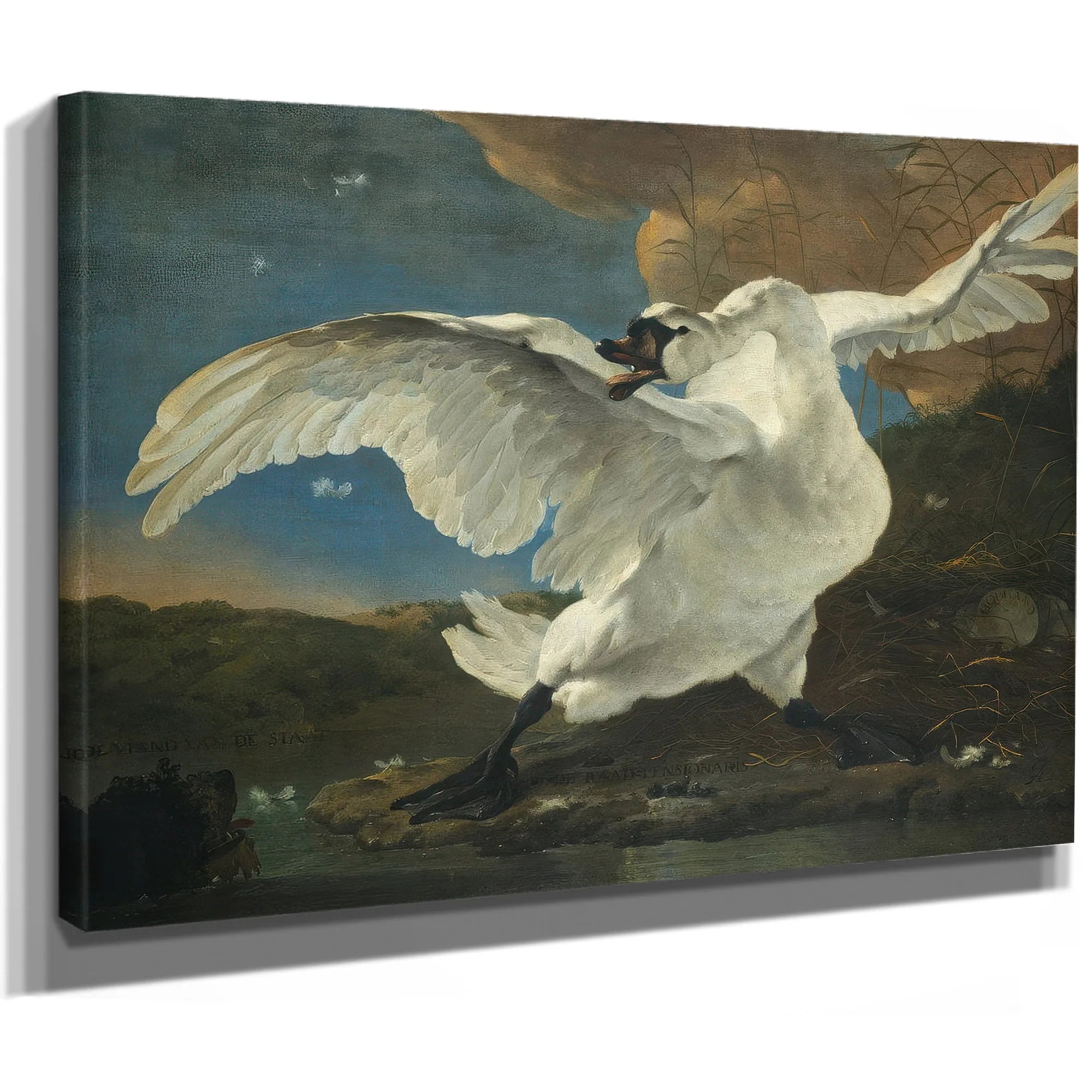 The Threatened Swan By Jan Asselyn Fine Art Print