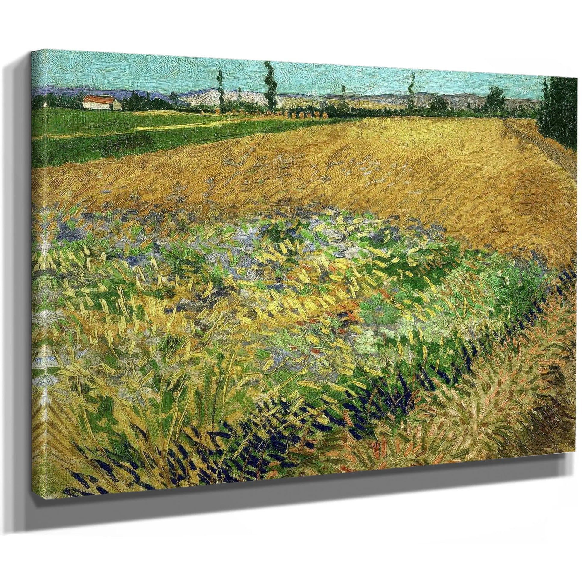 Wheatfield 2 By Vincent Van Gogh Fine Art Print