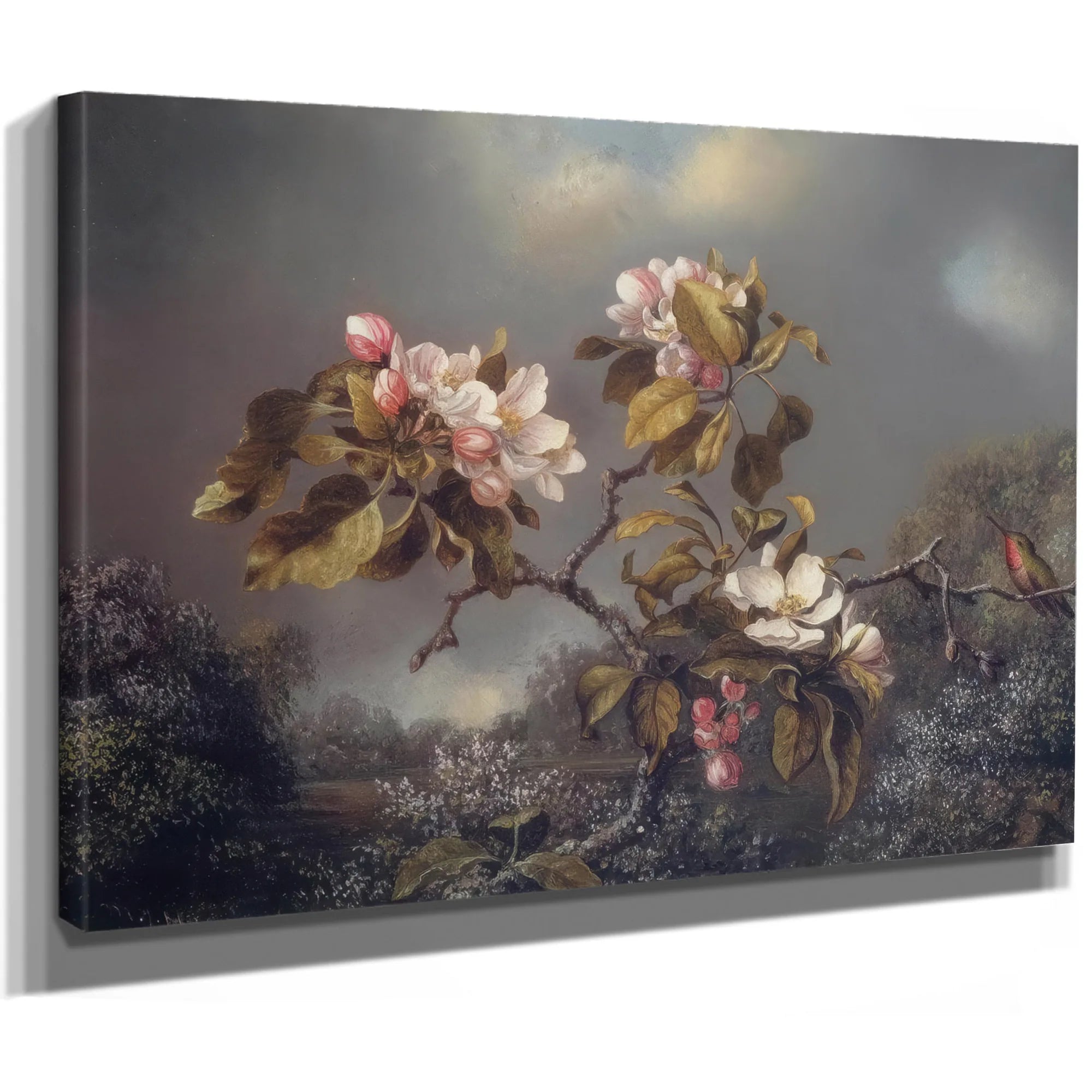 Apple Blossoms And Hummingbird By Martin Johnson Heade Fine Art Print