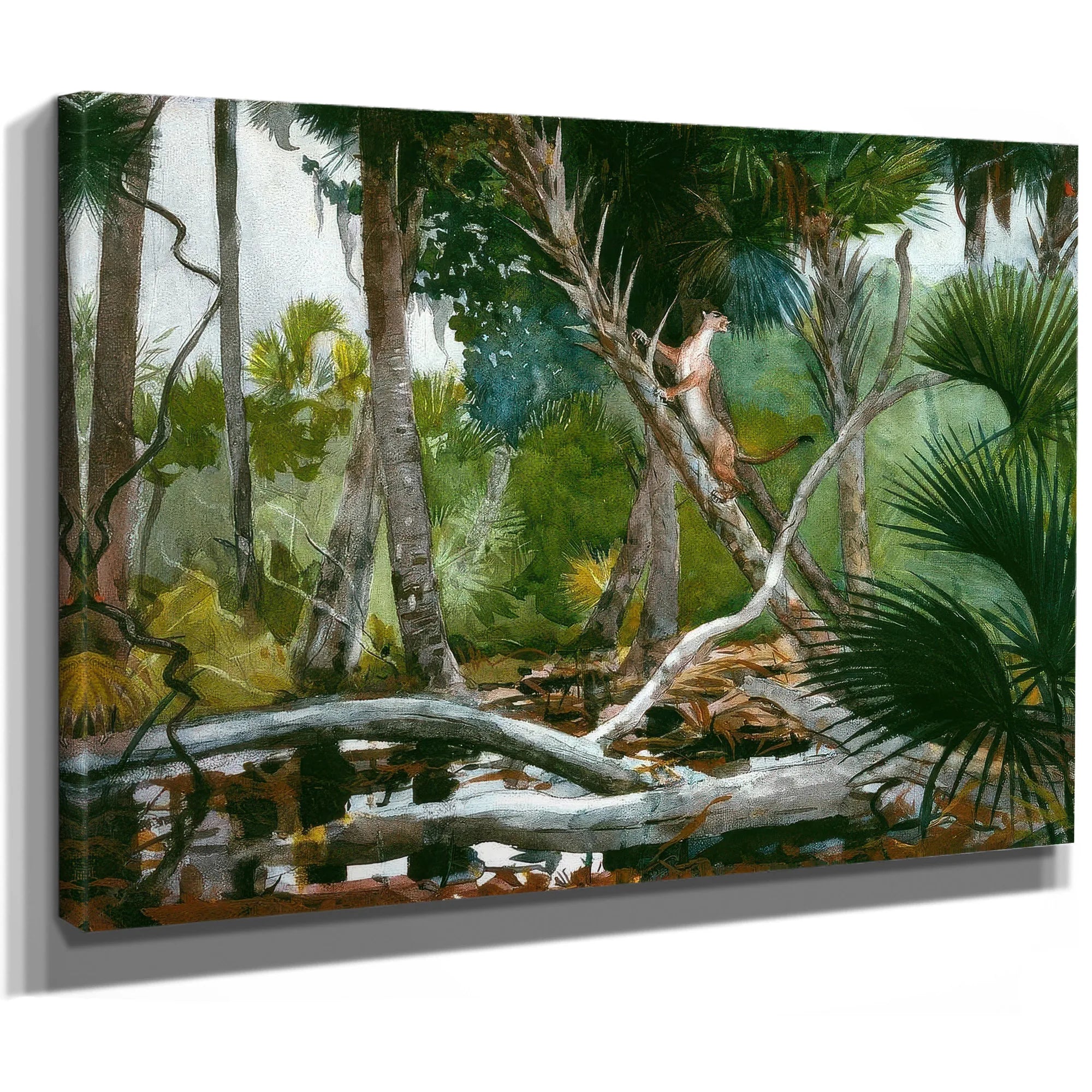 In The Jungle Florida By Winslow Homer Fine Art Print