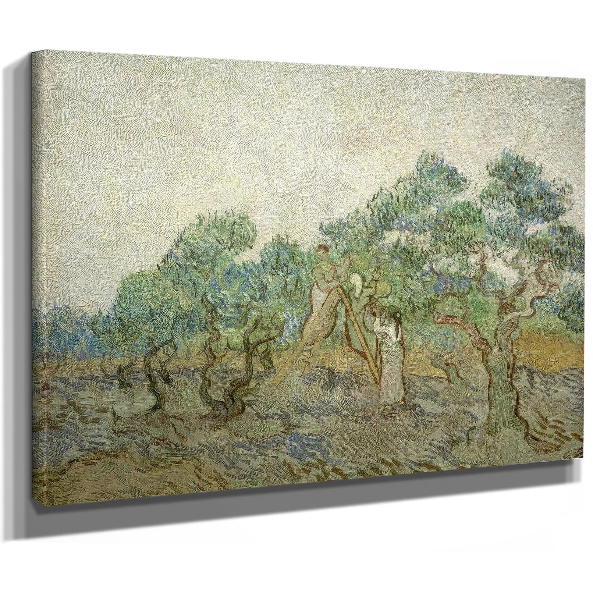 The Olive Orchard By Vincent Van Gogh Fine Art Print
