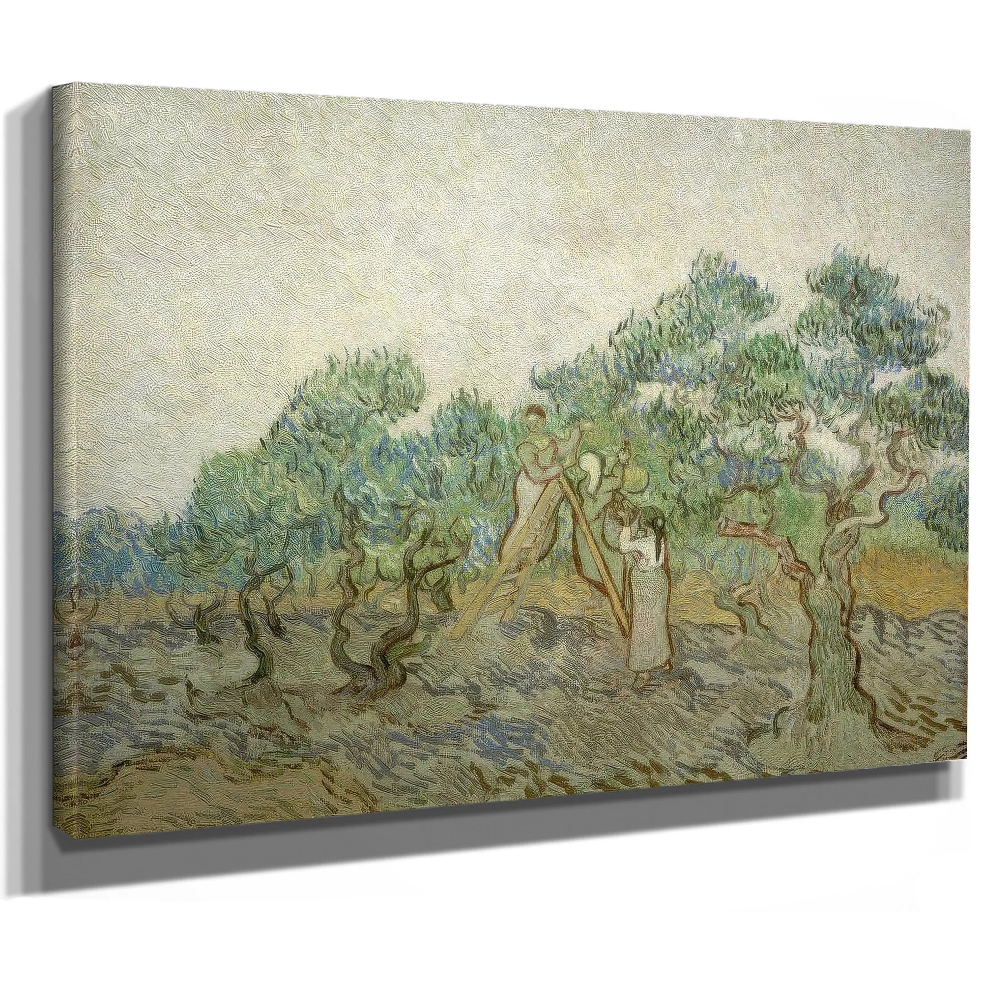 The Olive Orchard By Vincent Van Gogh Fine Art Print
